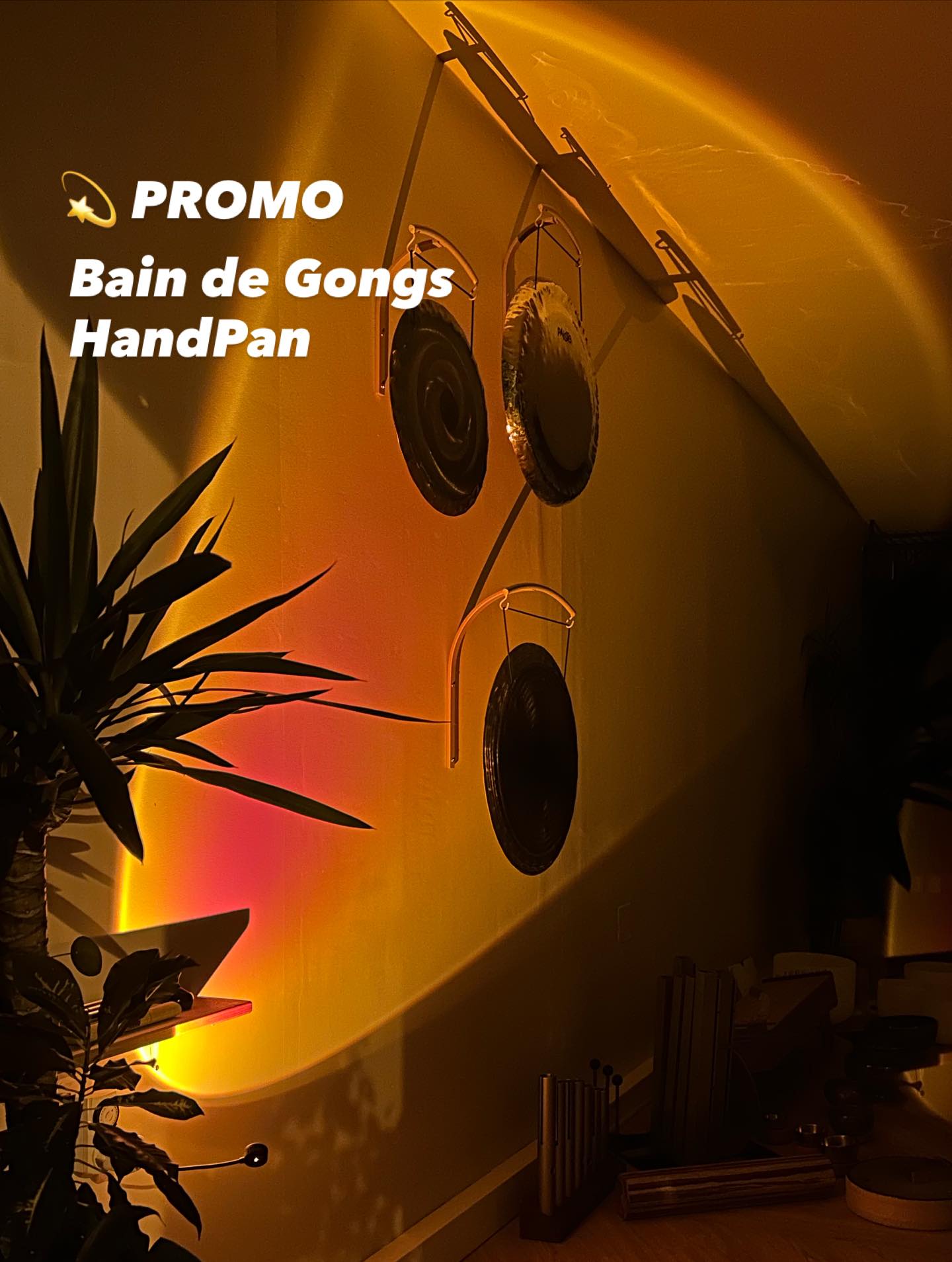 💌 Votre invitation pour JANVIER est arrivée !
Janvier est là, avec son énergie de renouveau ! ✨ C’est le moment parfait pour nourrir votre pratique et explorer de nouveaux horizons intérieurs !
Pour vous accompagner, nous avons concocté un programme spécial rempli d’ateliers uniques, de stages transformateurs et, bien sûr, de vos rituels hebdomadaires préférés. Et pour bien commencer l’année, nous avons une surprise pour vous !
🎁 PROMO Carte 10 Cours
Pour vous aider à tenir vos bonnes résolutions !
🕉️ ATELIER Initiation au Sanskrit
Samedi 10 Janvier à 11h Un voyage fascinant de 5000 ans, de l’histoire à la pratique.
🤸🏽♂️ STAGE Inversions « Le monde à l’envers »
Samedi 17 Janvier à 11h Dépassez vos peurs, trouvez votre équilibre et changez de perspective.
🫶🏻SÉANCE spéciale auto-massages ÉPAULE & COU Mercredi 7 janvier à 18h15 Retrouver de l’amplitude et du confort dans les mouvements !
🌀Vos Séances Préférées Bains de Gong, Méditations, Yoga Intégral... tout est là pour vous ressourcer.
Faites défiler le carrousel pour découvrir tout ce qui vous attend chez SoundYoga ce mois-ci. 👉
Le programme complet et les réservations sont sur notre site www.Soundyoga.fr
@soundyoga.fr
#soundyogacompiegne #bonnesresolutions #promo