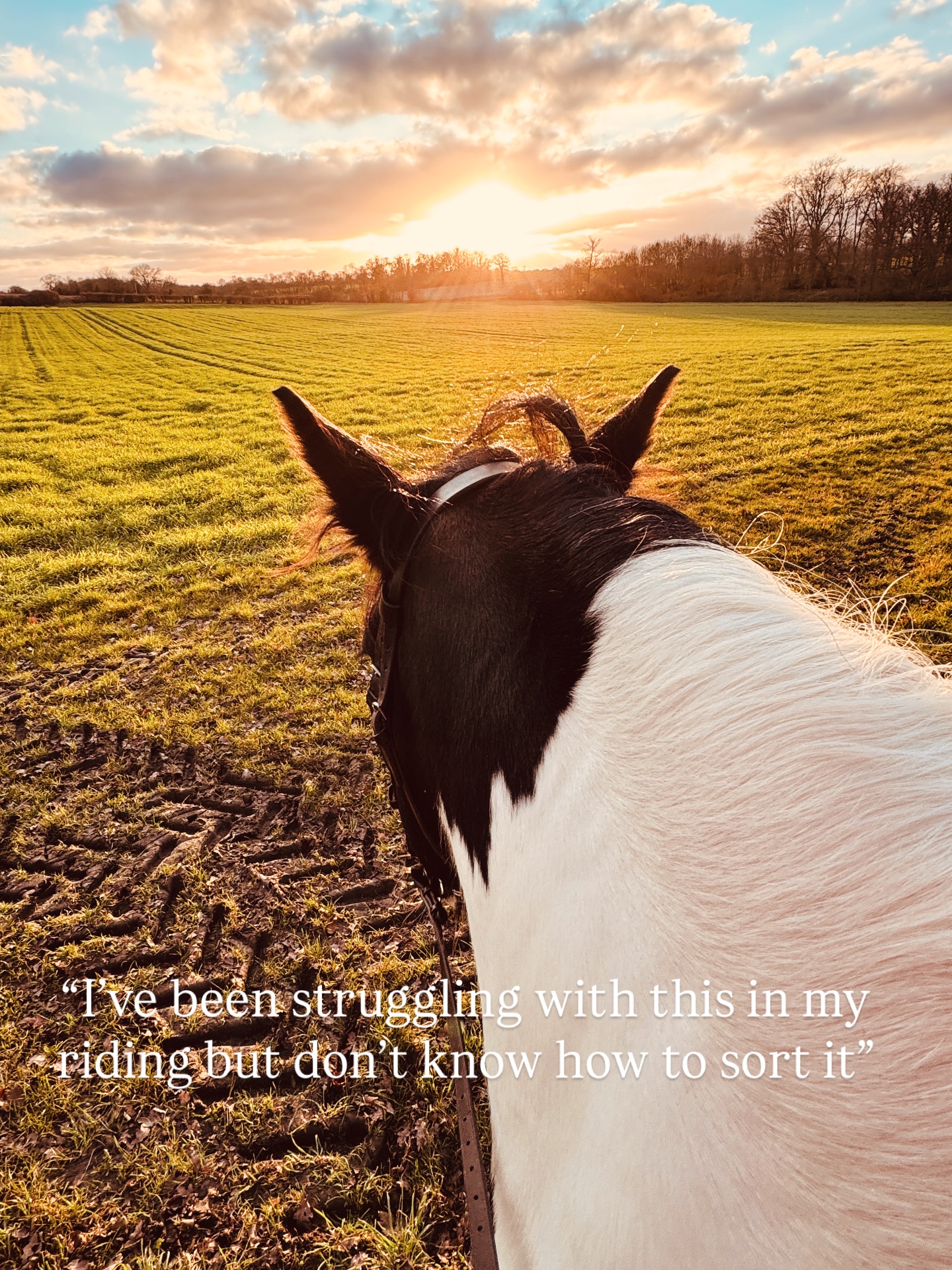 “𝑰 𝒘𝒂𝒏𝒕 𝒕𝒐 𝒊𝒎𝒑𝒓𝒐𝒗𝒆 𝒕𝒉𝒊𝒔 𝒊𝒏 𝒎𝒚 𝒓𝒊𝒅𝒊𝒏𝒈 𝒃𝒖𝒕 𝒅𝒐𝒏’𝒕 𝒌𝒏𝒐𝒘 𝒉𝒐𝒘 or 𝒘𝒉𝒆𝒓𝒆 𝒕𝒐 𝒔𝒕𝒂𝒓𝒕”
Over the last few weeks I’ve been working on a new addition to my academy, where members can send me what they’re struggling with on their horses and I can give them structured exercise training plans to help them in a more bespoke way.
We’ve been running it for a few weeks and it’s already giving members a feeling of more control over their training and they’re seeing improvements which is amazing.
2026 is going to be all about improving the academy for my brilliant members, helping them find their way through the challenges that having horses brings in a way that feels positive; connected and achievable with busy lives.
I’m excited to 𝒔𝒉𝒂𝒓𝒆 this year with you, and help you along the way.