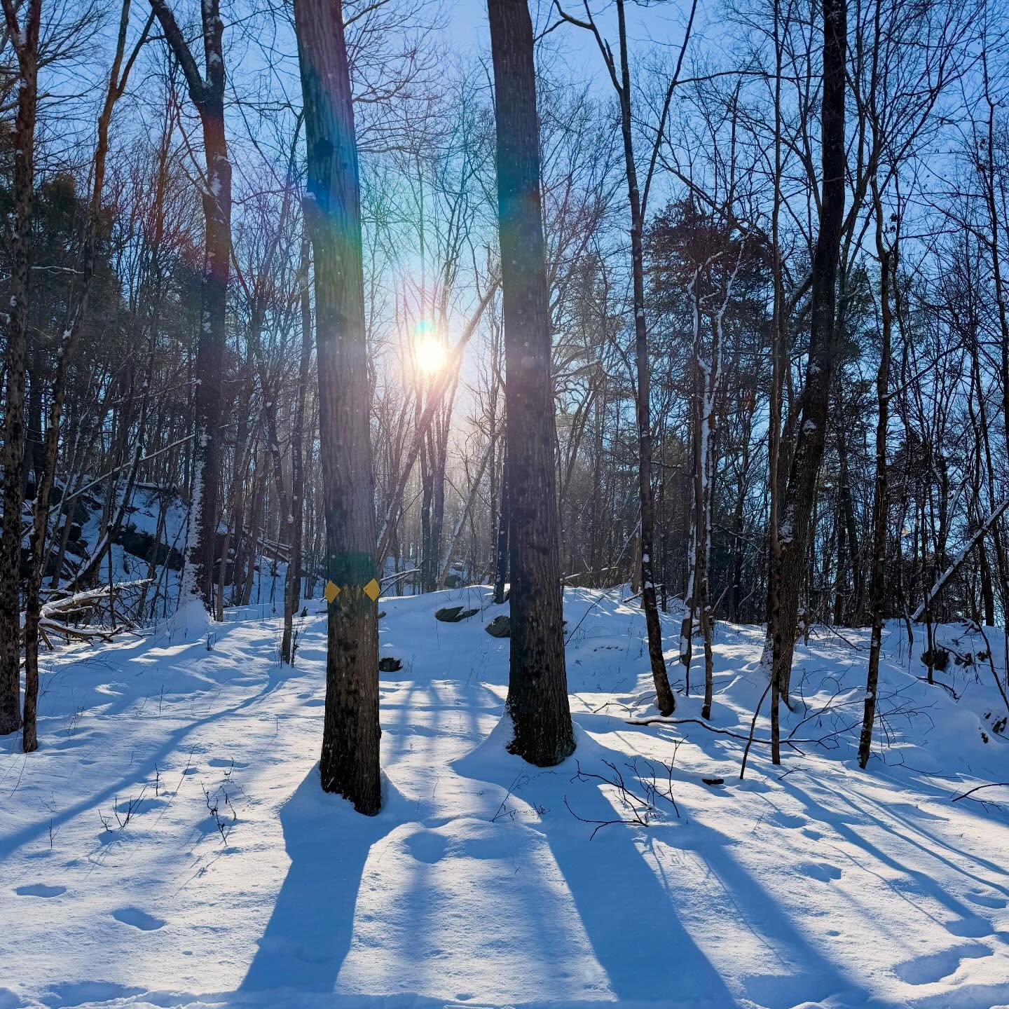 🌟Dear Ones, A few moments above as we emerge from the Long Winter's Night and Move Towards the Light in the Snow-Filled Woods of Upstate New York at Rhine Valley Farm. I hold this as a sacred time of the Year. A Time to breathe into the Womb of Creation, rest in stillness, and feel the murmurs of what will flower in the Year ahead. Time out of time.
As the temperatures drop, the stellar realms become bright, and the bone trees reveal themselves. Moonlight and sunlight turn freshly fallen snow into a breathing incandescent crystal of infinite dimensions, and the invigoration of single-digit temperatures brings the blood to the surface and flushes the face.
My constitution allows me to spend hours out in the cold on a bright day. Perhaps it's my Northern European roots? The cold brings a mental clarity, a state of transubstantiation– for a moment. When I merge with the elements inside becomes outside. I experience myself as vast as the boundless sky and space, and yet so deeply rooted in the Earth, which, at some point, when I leave the mortal coil, I will return to. Then, of course, Hearthside.
The pictures were taken over several weeks. We have had multiple snowfalls up here. Also dropped in for a moment at one of our great local Rhinebeck restaurants, Little Goat all dressed up for the holidays. Picts of me are after making a snow angel, and rubbing fresh powder snow on my cheeks.
As we enter this New Year, 2026, I send My LOVE and Auspicious Blessings and Outcomes to each of you for the Year ahead. Despite the heartbreak of many current events, which I deeply feel, I have faith in us, humanity. I tend a Light in my Heart that we will emerge with a fertile path forward that considers the well-being of all sentient life and realigns our right relationship with our Mother Earth, with each other, and all Life. We can wake up from the dream.
This is my Daily Prayer & Practice.
Love you,
Sarah.:.♥️