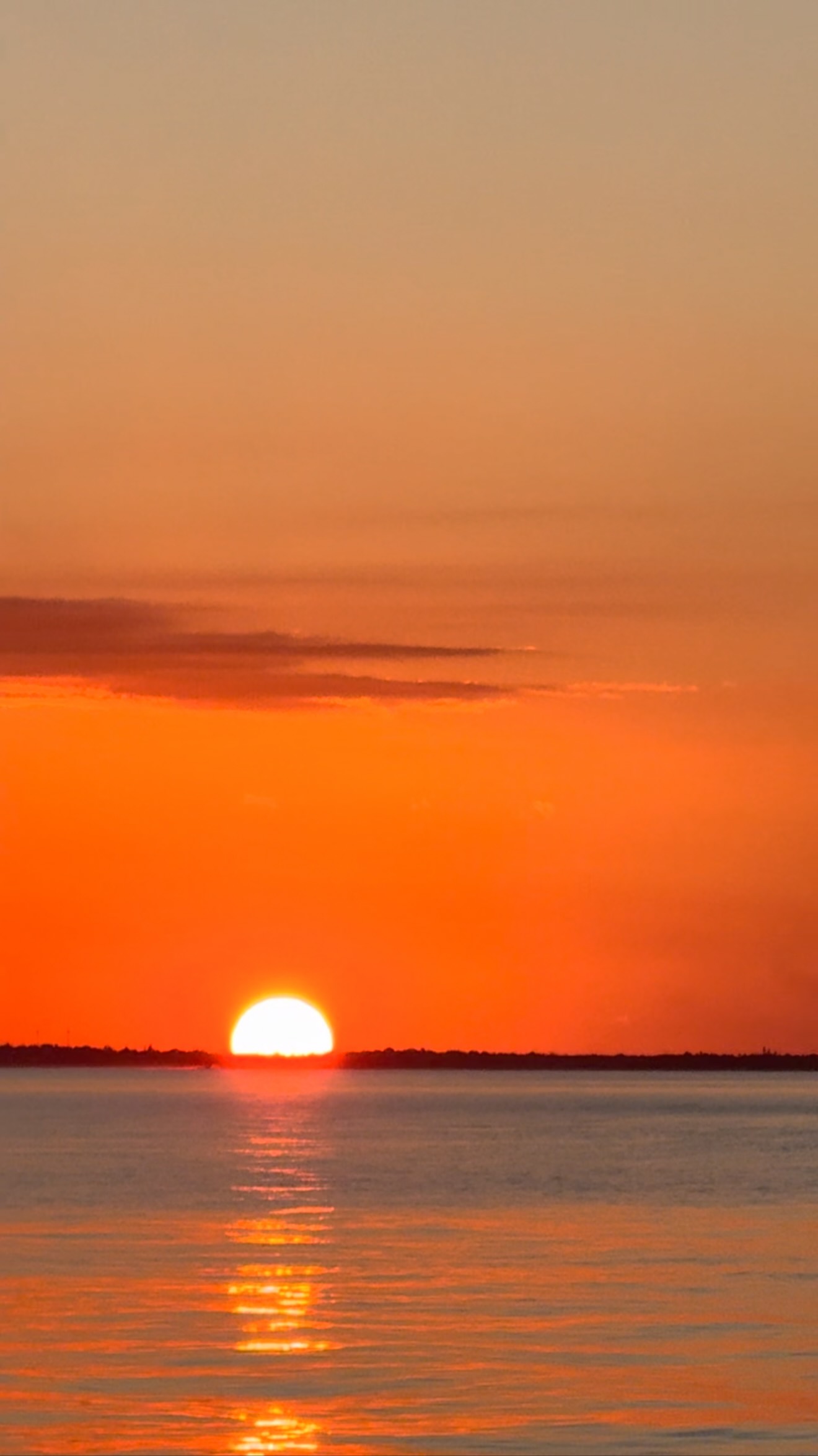 Every now and then our groups are lucky enough to chase the sunsets with us!🌞❤️ And There’s nothing like a Southside sunset at #oasisocean7beachclub
#roseislandswimmingpigs #sunsetchasers #bahamas #swimmingpigs