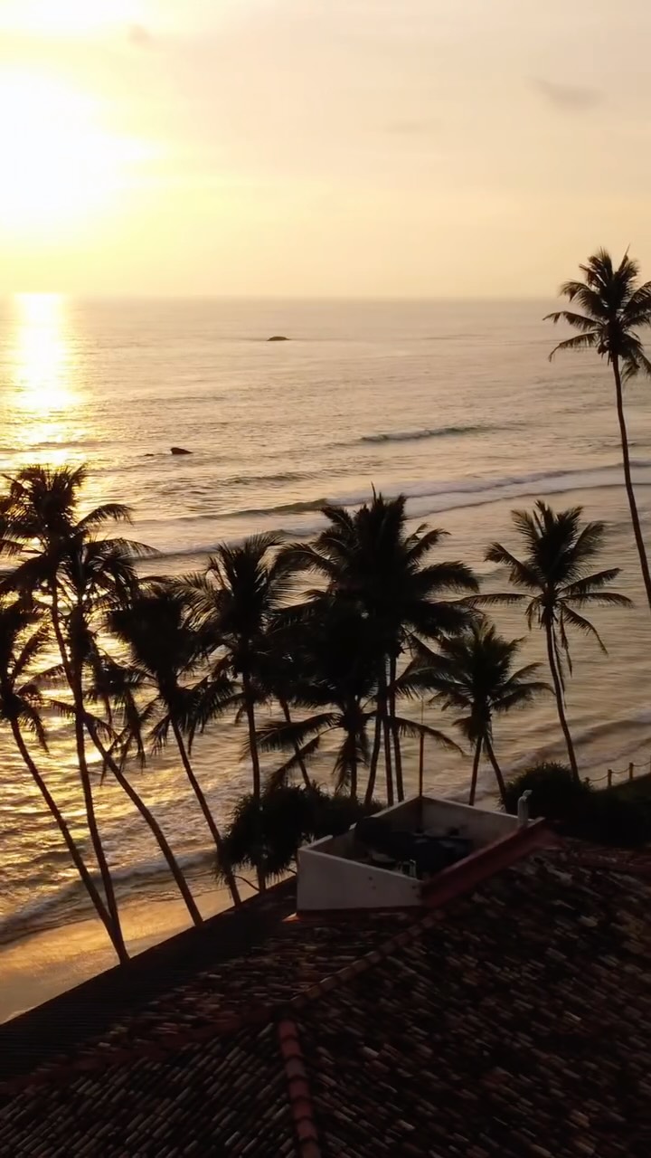  AHANGAMA ~ SOUTH OF SRILANKA
ברוכים הבאים לאהנגמה 🌴
עיירת הגלישה הקסומה של סרי לנקה, עם חופים מושלמים וגלים לכל הרמות.
ספוטים מהטובים באי, במרחק הליכה:
Fisherman Sticks
Marshmallow
Kabalana
Animal
והכל מרגיש כמו סרט גלישה שאין לו סוף 🌊