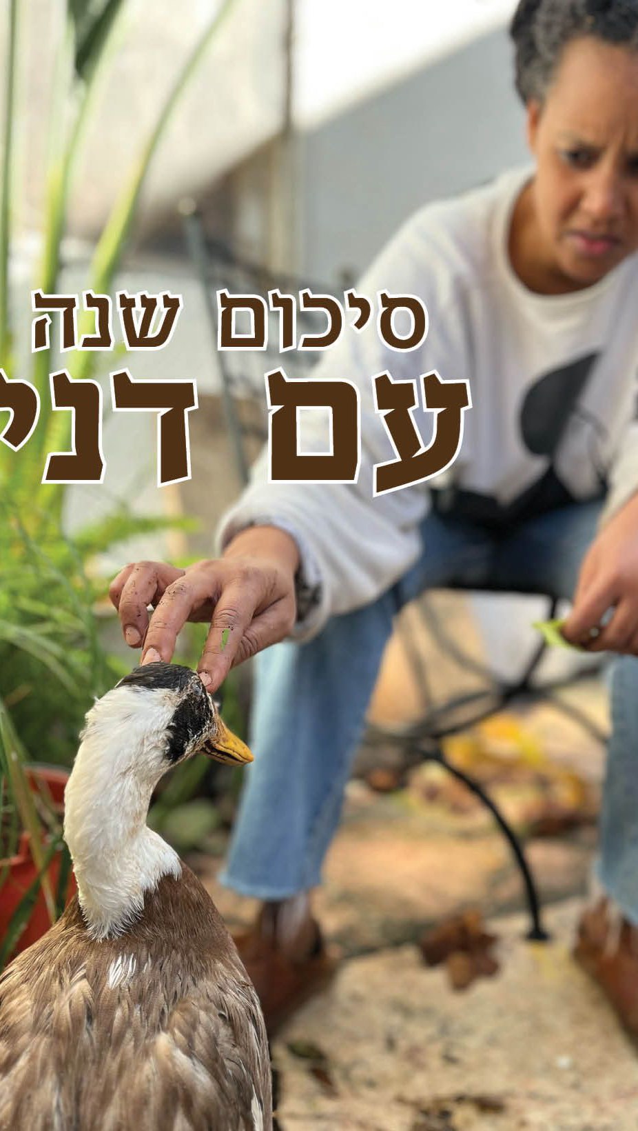 ביום האחרון של השנה איבדנו את דני.
מישהו השאיר את השער פתוח ומישהו אחר ניצל את ההזדמנות,
דני השאיר אחריו מורשת שלמה של חברות, חמידות וזלילת שבלולים.
אז את סיכום השנה שלי אני מקדישה לדני, שקיבל אותי כה יפה לשכונה החדשה (כי בשנה הזאת עברתי בית), ועזר לי לנקות את הגינה החדשה משבלולים,
קיצר שתהיה לנו שנה מלאה דני:
מאוזנת, ידידותית, מלאה בצחוקים ובאהבה 🩷