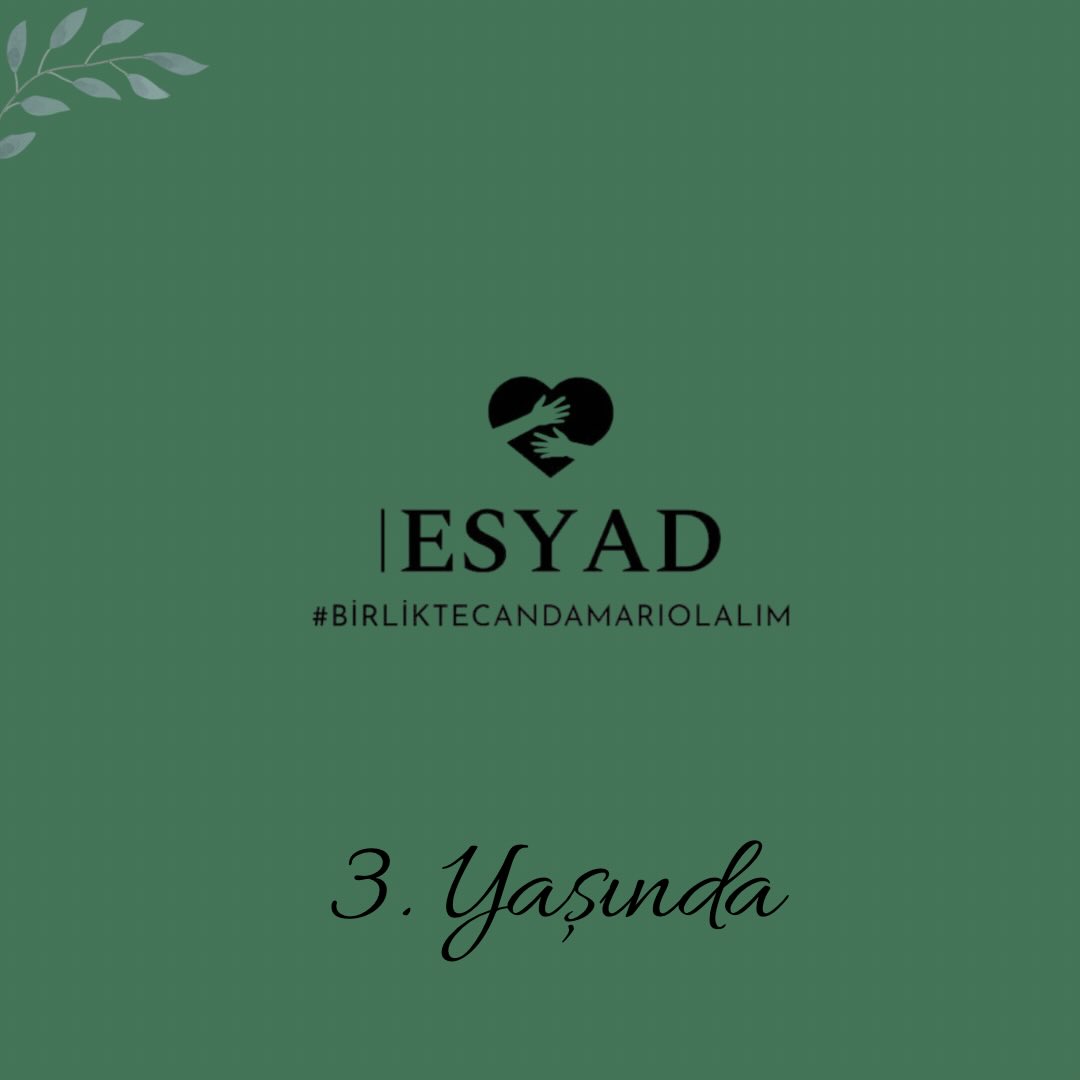 ESYAD 3 yaşında.
Üç yıldır; çocukların, engeli olan bireylerin ve kırılgan grupların yanında durarak
yüzlerce insana doğrudan destek olduk.
Erişilebilirlik, kapsayıcılık ve dayanışma temelinde;
birlikte iyileştik, birlikte güçlendik, birlikte yol aldık.
Bu yolculukta emeği geçen tüm ekip arkadaşlarımıza, gönüllülerimize,
paydaşlarımıza ve yanımızda olan herkese teşekkür ederiz.
Nice yıllara, birlikte. 🤍
#ESYAD #3Yaşında
#BirlikteCanDamarıOlalım
#Dayanışma #Erişilebilirlik
KapsayıcıToplum ÇocukHakları
EngeliOlanBireyler SivilToplum