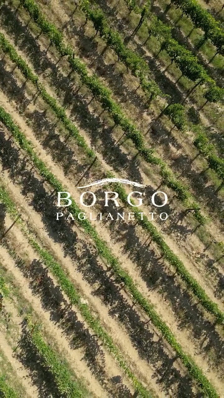 Un anno fatto di sogni, lavoro e traguardi raggiunti.
Un anno che ci ha portati lontano, ma sempre con le radici ben piantate nella nostra terra.
Da Aprile come bolla del mese da Maio in Rinascente e sulla Terrazza Triennale a Milano,
alle emozioni di Vinitaly,
dalle Cantine Aperte condivise con voi,
all’apertura del nostro nuovo punto vendita.
Un anno che ci ha regalato il riconoscimento dei “Tre Bicchieri” Gambero Rosso per Vertis 2023,
le fatiche e la magia della vendemmia 2025,
l’approfondimento della Masterclass su Vertis e il Verdicchio di Matelica by Cristina Mercuri,
fino all’evento Verticale di Vertis, dove il tempo racconta chi siamo.
Ogni passo è una conquista.
Ogni calice, una storia.
Grazie a chi ha camminato con noi.
Il meglio deve ancora venire. 🍷
A year made of dreams, dedication, and milestones achieved.
A year that took us far, while keeping our roots firmly in our land.
From April in Maio Rinascente and Terrazza Triennale Milan,
to the energy of Vinitaly,
from sharing Cantine Aperte moments with you,
to the opening of our new shop.
A year crowned by Vertis 2023 “Tre Bicchieri” from Gambero Rosso,
the hard work and magic of the 2025 harvest,
the depth of Cristina Mercuri Masterclass,
and finally the Vertis Vertical Tasting, where time tells our story.
Every step is an achievement.
Every glass, a memory.
Thank you to everyone who has been part of this journey.
The best is yet to come. 🍷
#borgopaglianetto #verdicchiodimatelica #vinoitaliano #organic #madeinitaly #matelica #siamofivi #fivi #winelovers