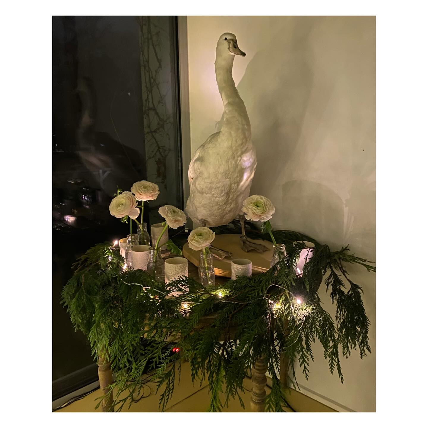 happy new year 🕊️