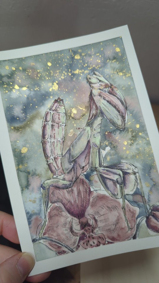 Ich habe heute die Reisepinsel und die opaque Palette von fuumuui nochmals auf Herz und Nieren getestet und ich bin sehr zufrieden damit, was ich dennoch anders gemacht hätte, bzw. Was es sonst noch dazu zu sagen gibt, werde ich demnächst auf YouTube in einem Video zusammenstellen.
#myownartology #aquarell #animalart #fuumuui #mixedmedia