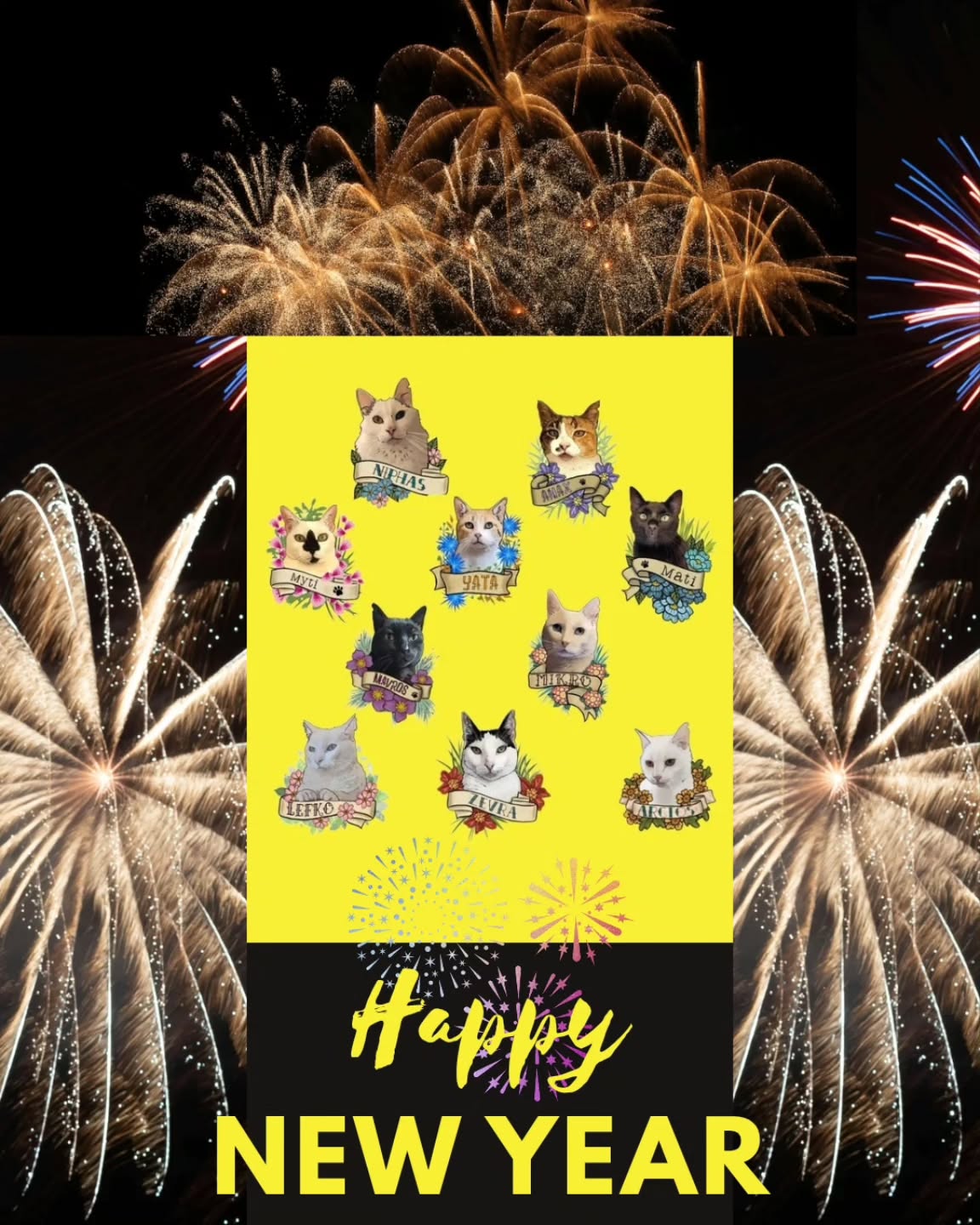 May this year be MEOWY!!!