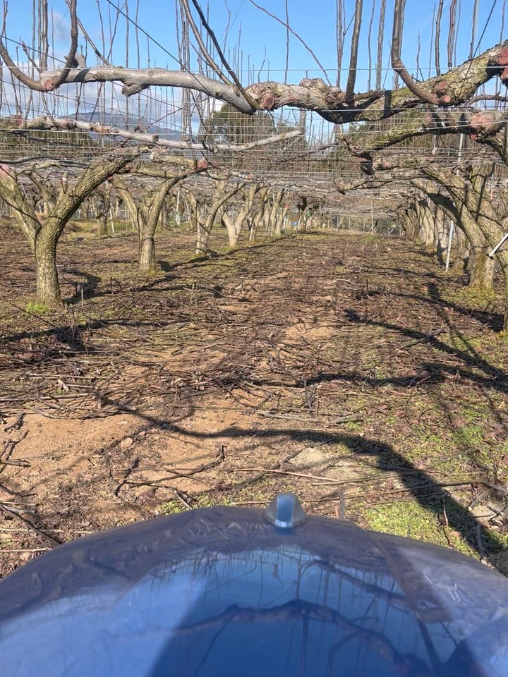 いつもたくさんのいいね👍とフォローありがとうございます😊
新年を迎え、あけましておめでとうございます⛩
今年もよろしくお願い致します。
今日から初仕事になります。