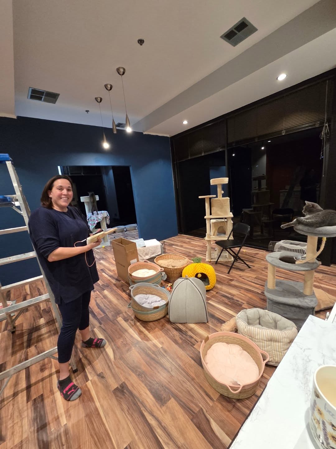 Okay...... a sneak peak!!! Harriet one of the many people behind making this new space come to life!
Foster First Felines cat lounge! Opening February!