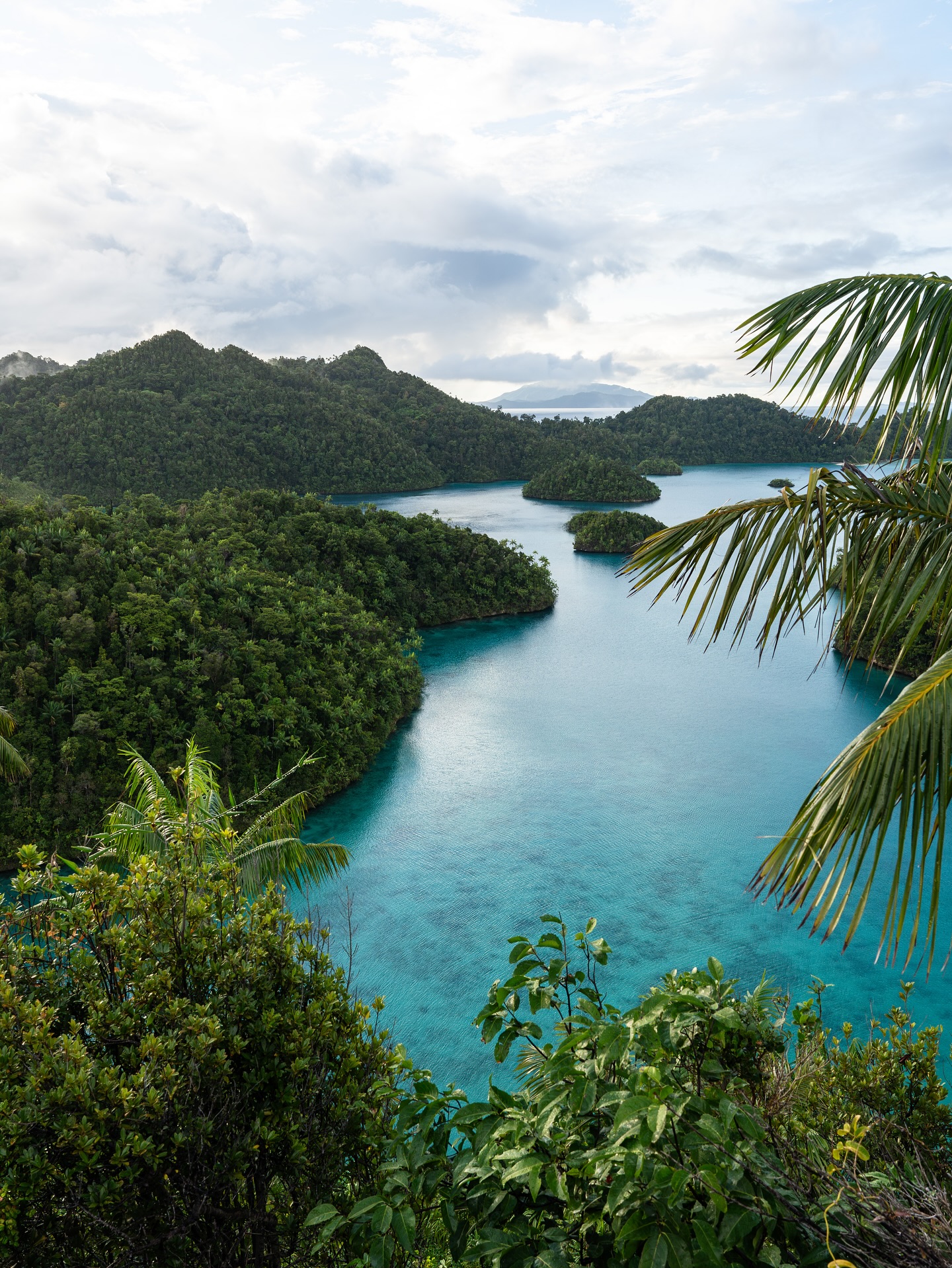 What a year it has been! Split between Indonesia and the Kimberley it’s been a whirlwind of working on campaigns that I really care about and exploring through some of Indonesia’s richest marine ecosystems!
So glad to have spent it with the people that were in my life in 2025 🫶🏽
#2025 #newyearseve