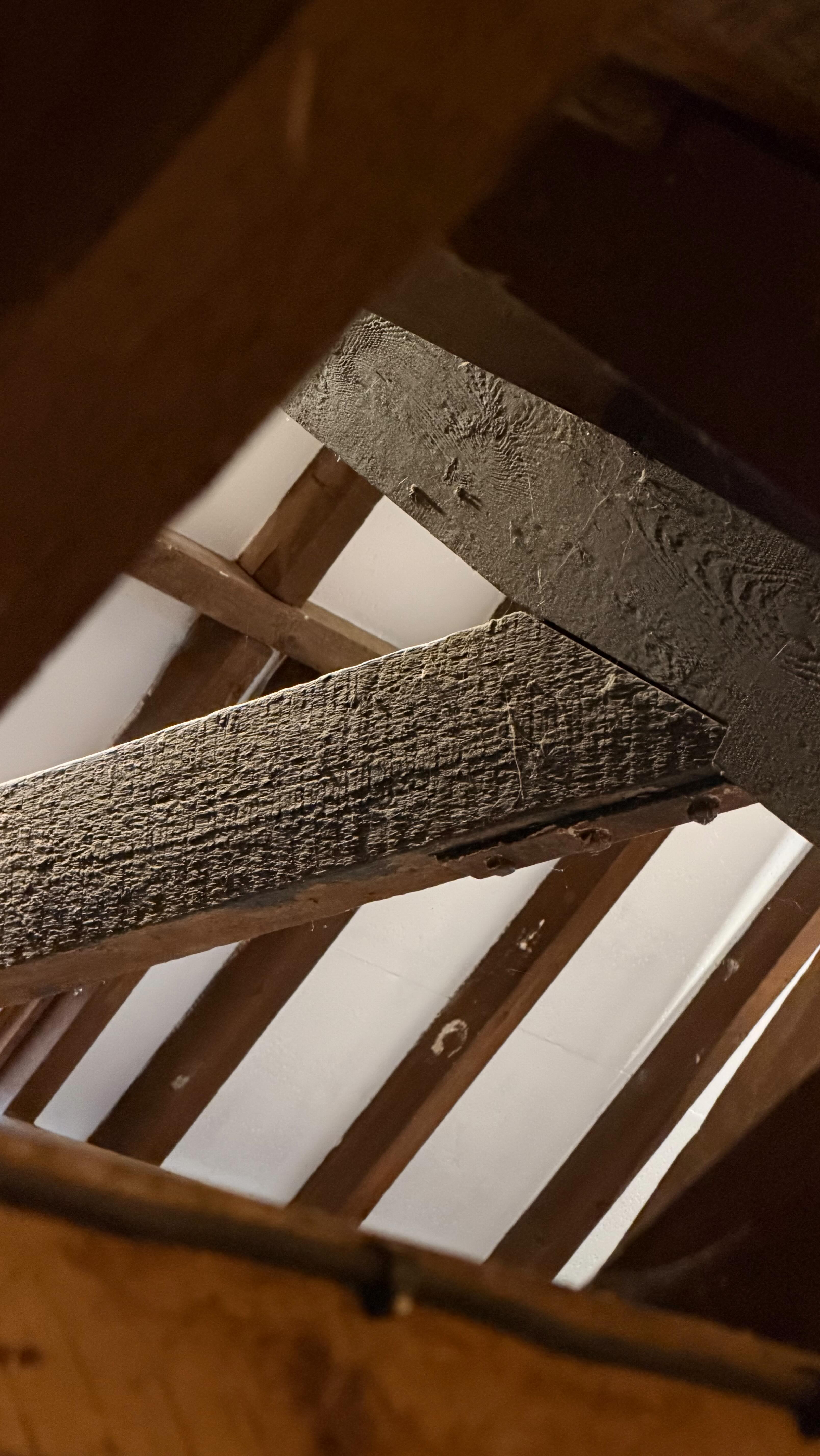 2026 - the year of multitasking ✨🤩
#moseleypilates #2026