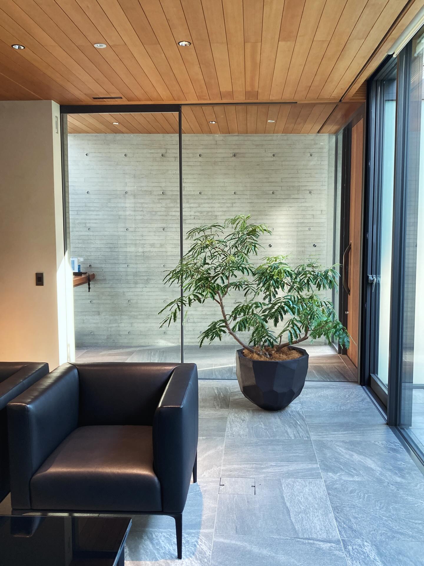 毎月のメンテナンス
かれこれ早いもので7年、
毎月お伺いしているオフィス。
屋内は毎月、屋外は年に2度程度、手入れをさせて頂いています。
植物達も場所に馴染み大きくなりました。
毎月伺わせていただくことで、植物達の調子もよくわかります。
#オフィスグリーン #植栽メンテナンス
#officegreen #maintenace