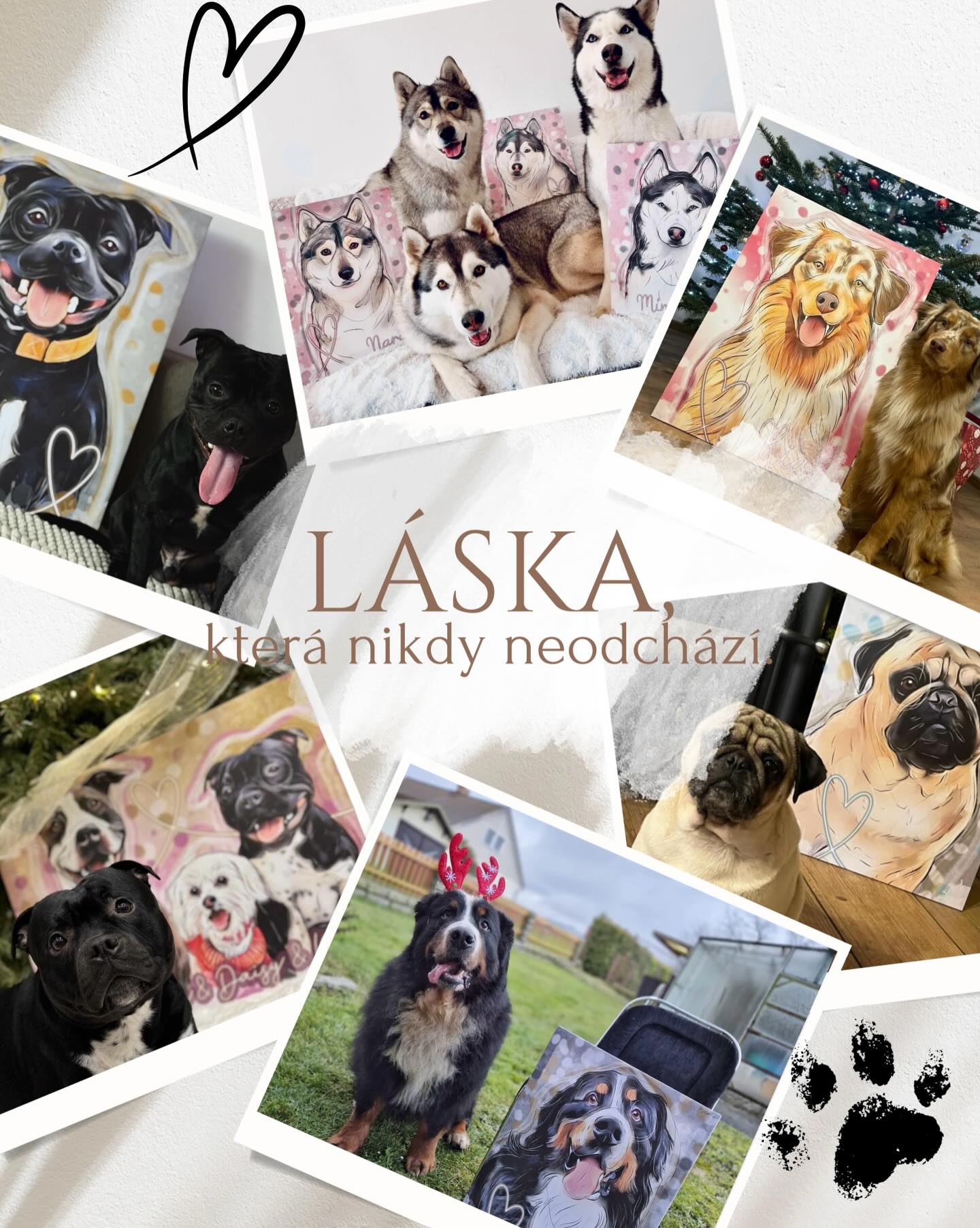 Už nějaký ten pátek jsem měla lehčí ponorku, co dávat na sítě. Naše vánoční sezona začala někdy začátkem září a skončila 17.12, kdy šly do výroby poslední zakázky. Poslední téměř celé 4 měsíce jsem jela naplno, ale to si nestěžuji - naopak. Já jsem vlastně na sebe hrdá, že zvládám (i když je to někdy fakt těžké a mám lehké mentální breakdowny😂), tvořit pro Vás všechny.. ❤️
Někdy to jde jak po másle, někdy je to horší. Nejsem umělec co tvrdí, že vše co pošlu do světa je dokonalé. Ač bych ráda, tak to podle mě není prostě možné. Moje osobní rovnice letos končí heslem = čím víc zákazníků, tím je i větší pravděpodobnost, že bude někdo nespokojený. Možná to je jen moje vnitřní omluva, tak mi to nekažte 😂
Ještě jsem nespočetla finální číslo obrazů za rok 2025, ale na 100% vím, že jsem do všech vložila to co vždycky chci, to co je základ mé tvorby. Originál, lásku, autentičnost a příběh. Kromě standardních zakázek jsem letos překročila mez, kdy je důležité i investovat, aby člověk rostl. Né jen doufat. Navázala jsem desítky nádherných spoluprácí, které mě ve výsledku vyšli možná i více než placená reklama, ALE.. měli mnohem větší dopad, a to nemluvím o číslech ❤️ spolupráce i zakázky mě posunuly zase blíž k Vám, a opět nemluvím o číslech. Ale o reálných známostech a "kamarádství".
Samozřejmě vše není nikdy růžové, je normální, že se každému z nás někdy hodně daří a někdy naopak. Ale je důležité si ze všeho něco vzít a pracovat s tím. A já si do nového roku taky něco beru - pokusím se pracovat méně chaoticky a zapracuji na komunikaci, neslibuji, ale pokusím se! 😂❤️
Takže kamarádi, konec okecávání. Děkuju Vám všem, že už 7 rok stojíte při nás a podporujete nás a moji tvorbu ❤️ těším se na další projekty v roce 2026 ❤️
P.S. Méně obrazů a více kérek! Slibuju! 🥰😂
#dogart #dogportrait #dogdigitalart #obrazspejskem #psiobraz