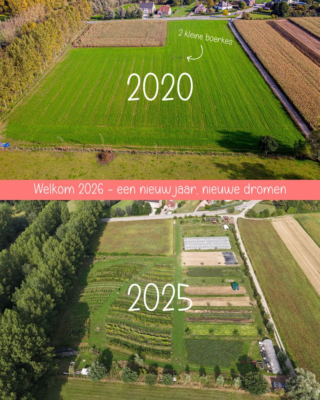 2026, een nieuw jaar, nieuwe dromen ⭐️
Dank dank dank aan alle vrienden van de daalkouter die samen met ons ‘het veld’ verder laten groeien, ook in 2026.
De boeren trekken zich even terug in januari rust. De automaat en de mailbox sluiten tijdelijk.
Vanaf februari staan we er helemaal terug, klaar om er terug in te vliegen.
Benieuwd naar onze avonturen, check dan zeker al eens onze vernieuwde website. 😇
Onze beste wensen!
De boeren van de daalkouter
xxx
