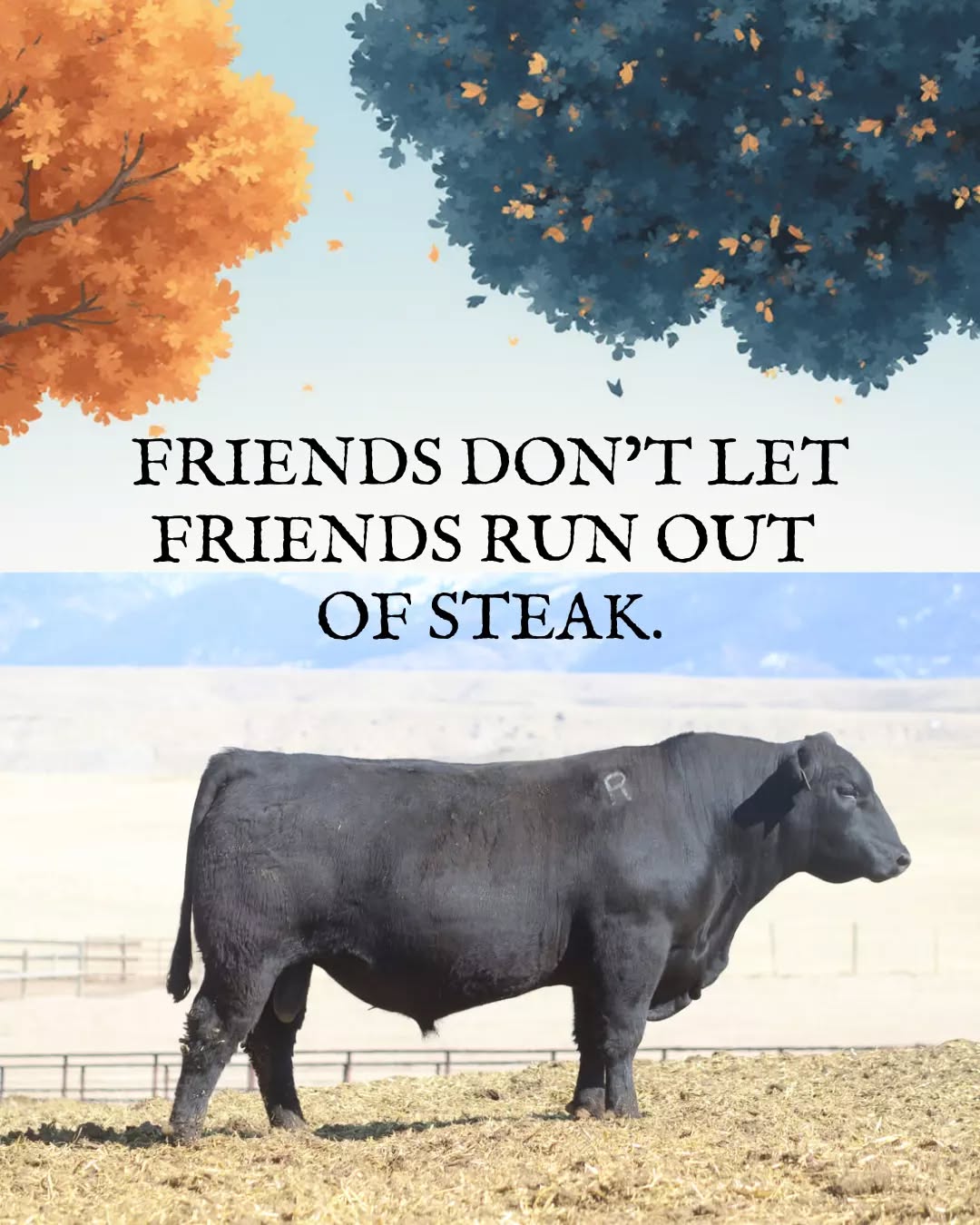 Friends donāt let friends run out of steak ā especially the good kind. Liberty Cattle delivers premium Montana-raised Angus straight to your door, so no oneās left hungry. Shop online and be the friend who always comes through.
#BetterBeef #MontanaBeef #BeefDelivered #GrillBetter #FarmToDoor #LibertyCattle #LibertyCattlemt