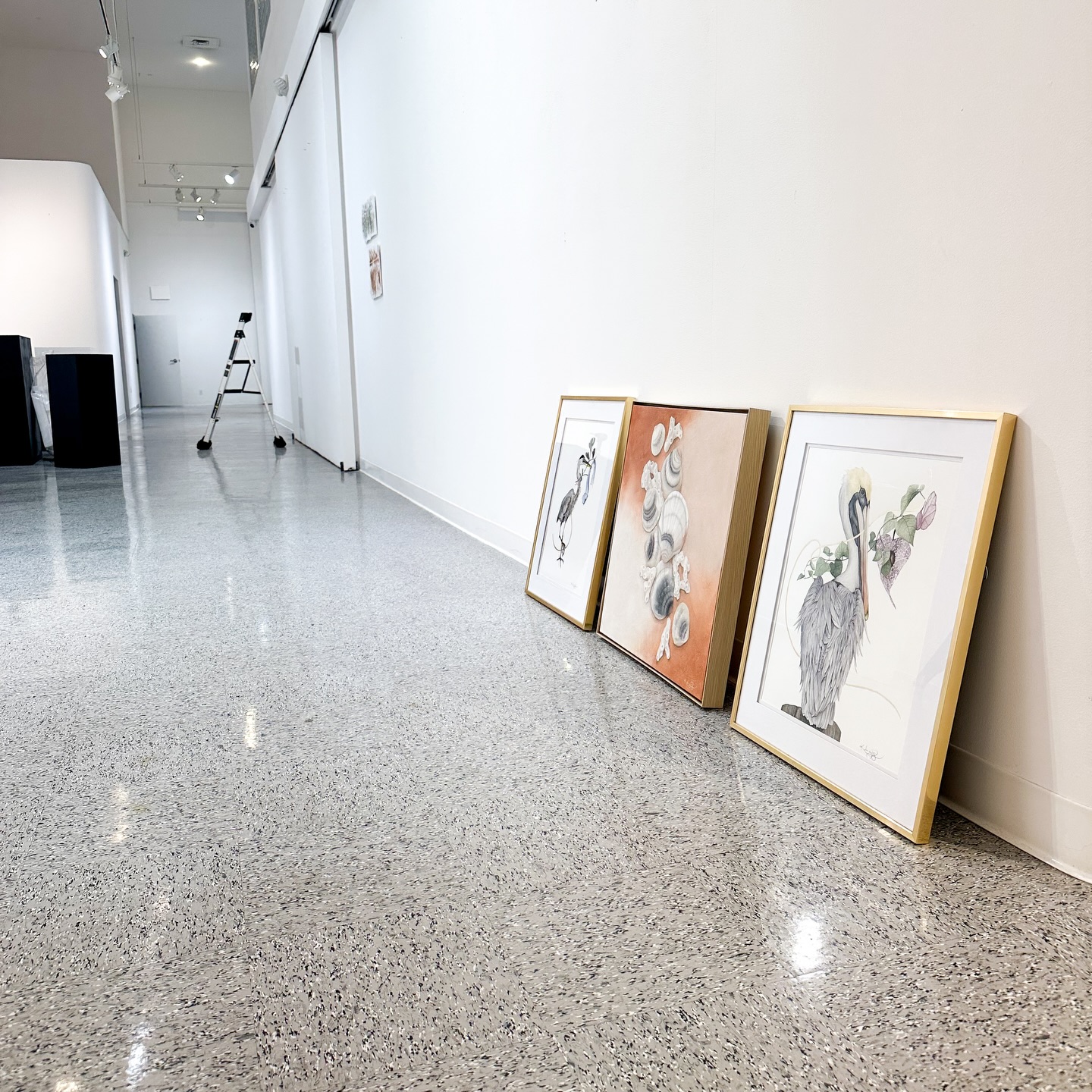 These three sweet paintings waiting to be hung amongst the beautiful art celebrating Lakeworth Lagoon in @palmbeachculture Palm Beach Cultural Council’s exhibition celebrating Lakeworth Lagoon. The show runs from January 9 - February 21. If you’re in the area, please come have a look! It will transport you to a wonderful place we all love and cherish here in Florida.