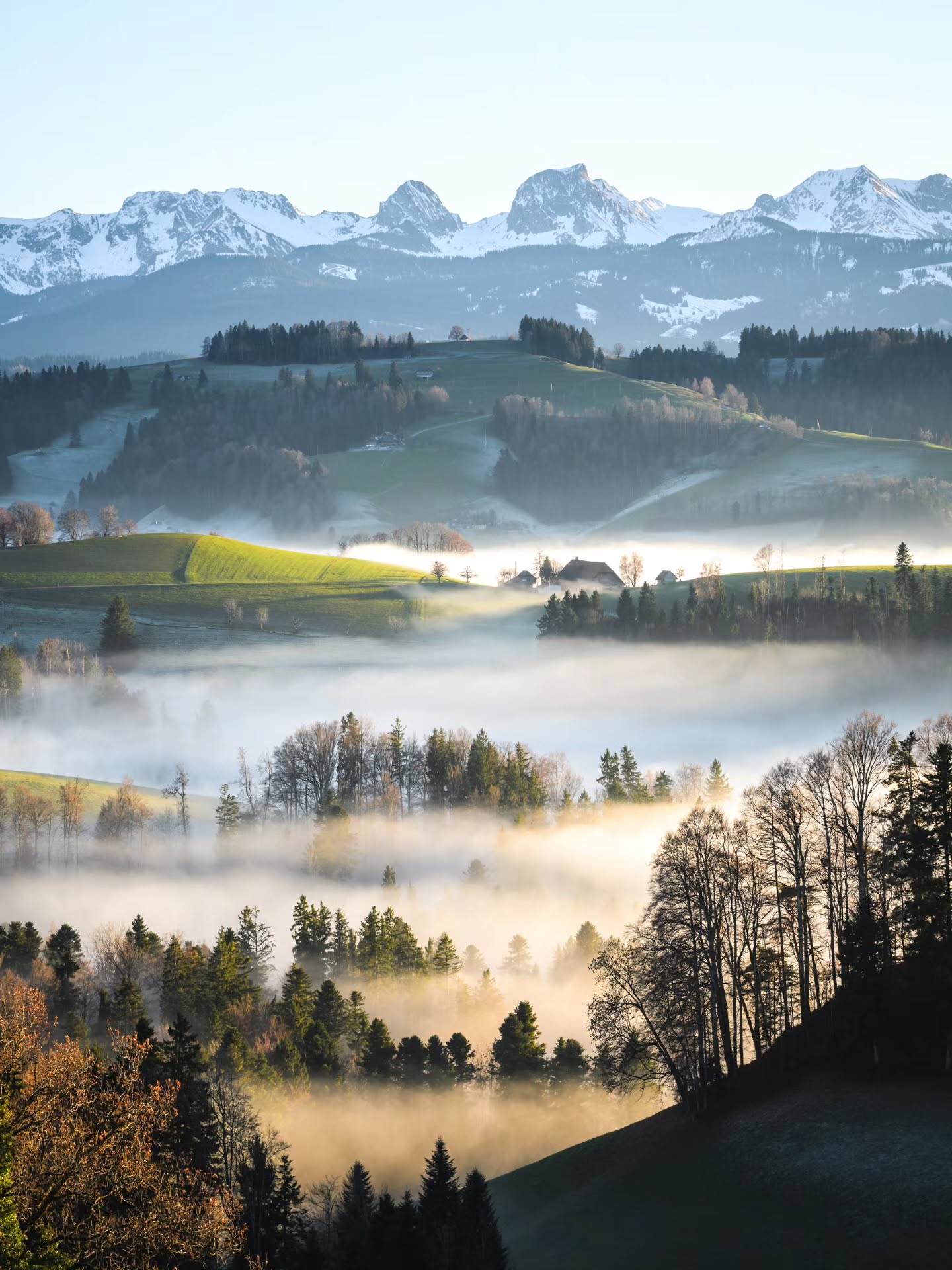 When mist enchants the countryside.