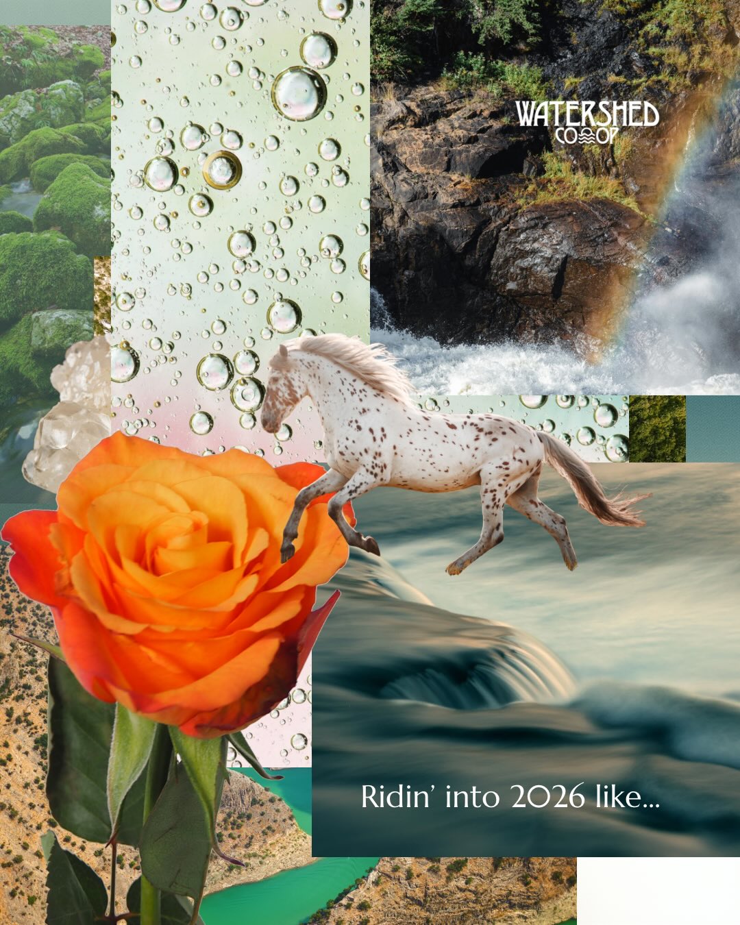 Yes. Watershedâs Community Spa will be open New Yearâs Eve and New Yearâs Day!
A lot of you have been asking, so we wanted to say it clearly: yes! come. Weâre here. Weâre open.
Start your year with us.
We have only a few more openings for Spa Sessions New Yearâs Eve and Day left.
Follow the link in bio to reserve your spot.
Hereâs a spa ritual that we recommend:
Begin with a good shower. Really let the water clear this last year off of you.
Then, head into the steam sauna. Let the heat and the mist meet you. Sit with whatever comes up. Practice staying present.
Shower againârinse off that first release, the stuff that was just beneath your skin.
Now for the dry cedar sauna. Set the sand timer for 15 minutes and let yourself sink into the heat. And try to just be there. Right where you are meant to be.
Shower. Rinse and repeat. In fact do it as many times as you need.
An hour of heat ritual is $30 for one person, $50 if youâre bringing someone.
We have clean filtered water, towels, wraps. You donât need to bring anything.
This is a community space, so sometimes there will be others with you. Thatâs part of it. Weâre taking care of ourselves together. When one of us heals, it ripples out.
Think about what could shift if we all believed that our own peace mattered that much this coming year.
Follow the water.
BOOKING LINK IN BIO