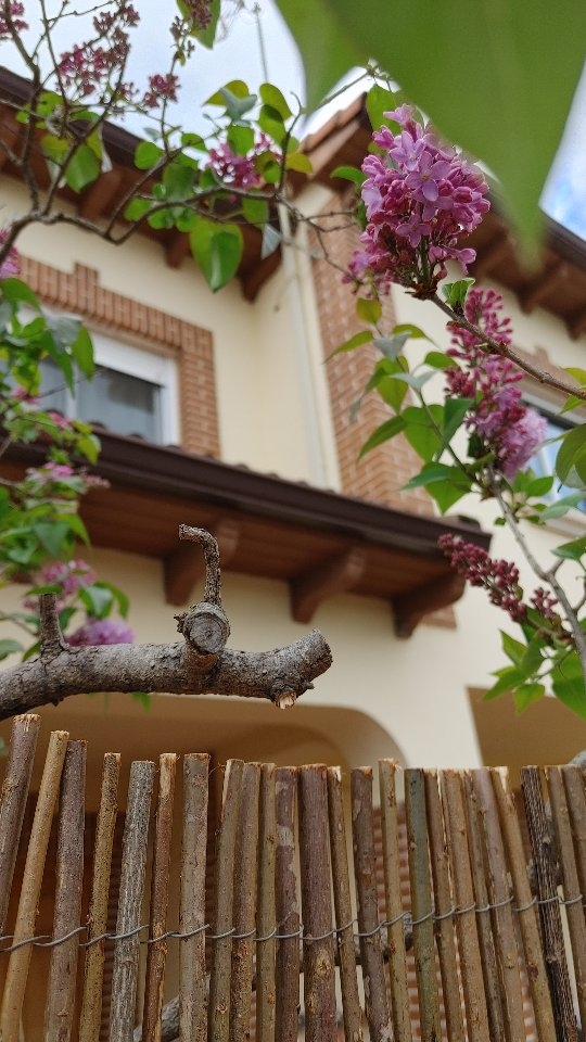 ✨ 2025 ha sido un año de cambios, aprendizajes y momentos para guardar en el corazón.
Mi primer año en mi nueva casa en un pueblito de Ávila me enseñó a escuchar mis ritmos, a dejarme ser y a poner en palabras lo que siempre me costaba: quién soy y cómo quiero crear.
Gracias por acompañarme, por sostener la artesanía con alma y por creer en otra forma de hacer las cosas.
Gracias a 2025 por todo lo dado y todo lo aprendido, y a 2026 le pido poder seguir siendo guardiana de historias, buscadora de caminos y creadora de puentes… y disfrutar de mis aquelarres, esas personas con las que puedo ser simplemente yo, con virtudes, defectos y rarezas.
Que 2026 nos regale tiempo, calma y felicidad siendo nosotras mismas.
Feliz Año Nuevo ✨✨✨🥂