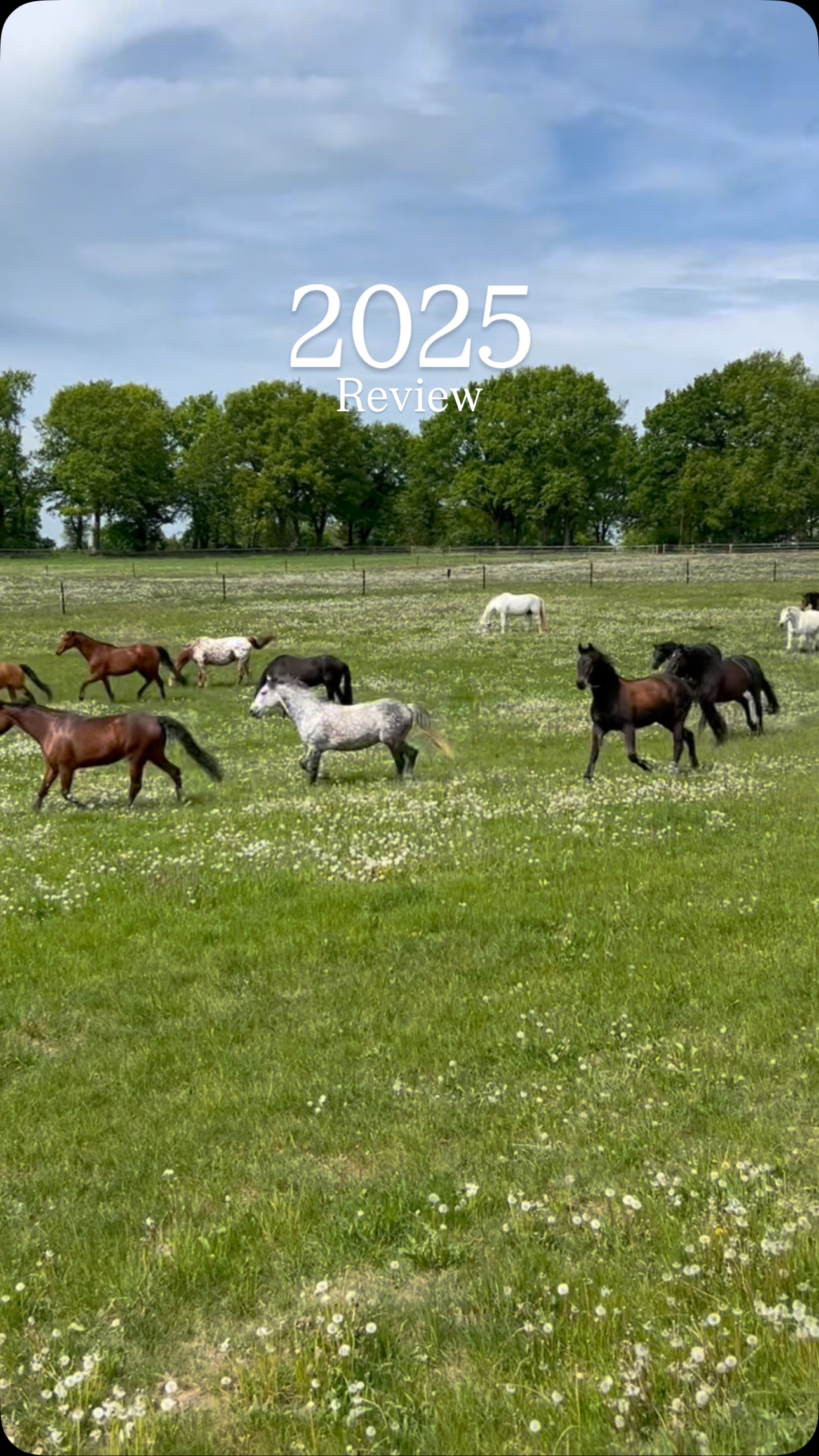 ✨ Danke 2025 ✨
Was für ein Jahr voller besonderer Momente.
Von sonnigen Sommertagen auf der Weide 🌾🐴
über ruhige Stallmomente, lebendige Heuernte und Teamwork für Natur & Tiere 🚜🦌
bis hin zu gemeinsamen Abenden am Feuer 🔥, Lehrgängen, Festen und echter Stallgemeinschaft 🤍
Drei besondere Highlights haben dieses Jahr geprägt:
Wir haben unsere Hallenbande erneuert, den Stall von außen neu gestrichen und unser Reiterstübchen komplett renoviert – mit viel Herzblut, Einsatz und Teamwork.
Schritte nach vorn, die unseren Hof noch ein Stück schöner gemacht haben ✨
Jeder Post, jeder Augenblick und jedes Lächeln hat dieses Jahr zu etwas ganz Besonderem gemacht.
Danke an alle Einsteller, Mitarbeiter, Helfer, Trainer, Freunde und Zwei- & Vierbeiner, die unseren Alltag mit Leben füllen 🐎✨
Wir blicken dankbar zurück und freuen uns auf alles, was kommt.
Auf neue Erinnerungen, neue Wege und viele weitere gemeinsame Momente im Stall.
✨ Schön, dass ihr Teil davon seid. ✨
Welcher Moment aus diesem Jahr bleibt euch besonders im Herzen? 💭👇
#dressurundaktivstalltrittau
#jahresrückblick #stallleben #pferdeliebe❤️ #reitstall