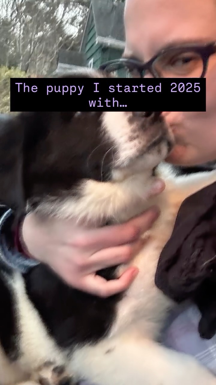8 weeks ➝ 12 months 🐾
Same dog. Very different stage.
This is where most “behavior problems” actually begin. As puppies hit adolescence, hormones, confidence, and independence kick in — listening fades, impulses take over, and boundaries get tested.
The good news? Adolescence is one of the best times to train. With the right guidance, you can shape behavior and build clarity before things feel unmanageable.
✨ Quick tips for surviving adolescence:
• Keep things simple and your communication clear
• Give your dog and yourself grace you both are doing your best
• Set clear boundaries and follow through consistently
• It’s okay to go backwards and retrain skills — progress isn’t linear
• Prioritize structure, routine, and realistic expectations
• Reinforce what you want to see more of
• Embrace the chaos! It doesn’t last forever, and it’s okay to laugh at their antics and enjoy the ride.
• Ask for help!!
If your once-easy puppy suddenly feels like a teenager with opinions, you’re not alone — and I can help.
Reach out early. Training now makes a difference. ✨
#dogtraining #adolescentdog #puppytraining #dogbehavior #salemoregon