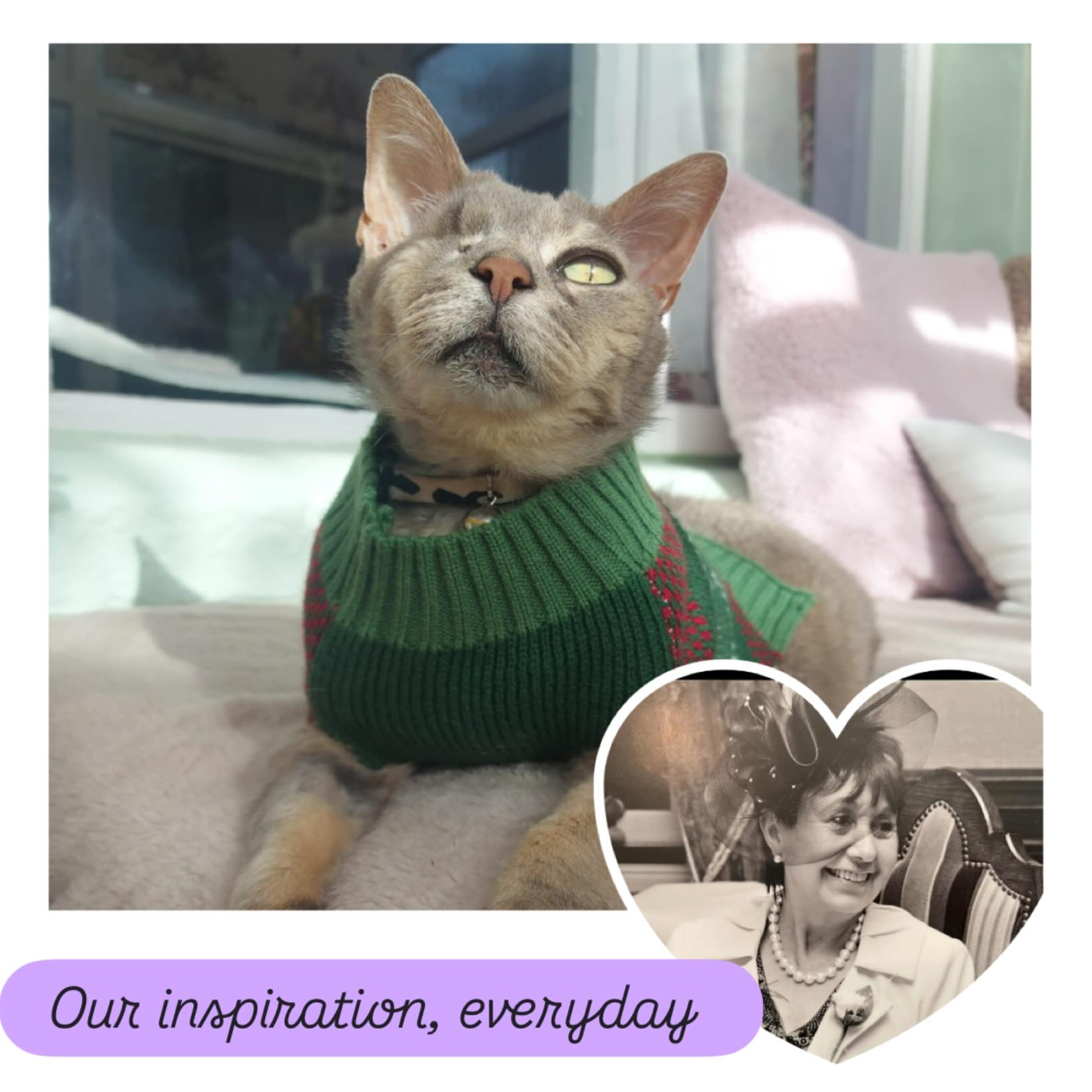 The 2nd January always brings mixed feelings for us, today marks 3 years since we said goodbye to both Burty and my mother in law. I always think they waited to go together, so we knew they’d have one another, I like to think they’re sat somewhere now with a hot cuppa (Lynns fave) and some shortbread (Burty’s fave)
Without Lynn, my partner and I would not be where we are today and without Burty, my career wouldn’t be where it is today, we are so grateful to have known them and loved them, but do miss them dearly.
So today, raise a cuppa, tuck into some biscuits with us, as we remember the amazing souls who bring us love and shape our lives, without us even realising it ❤️❤️❤️❤️❤️ We will do everything we can to do our best, and keep Burty’s legacy alive by growing Burty’s Boutique and providing the best service possible to everyone who may like to join us. Thank you SO much for everyone’s support, it means more than I could ever put into words 💜💙💕