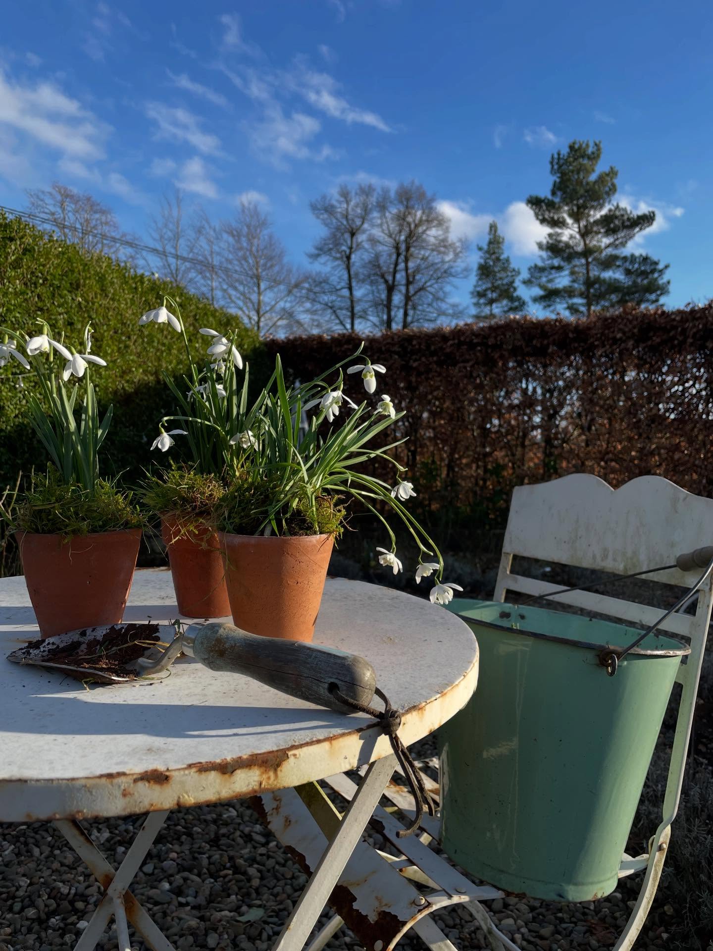 It’s gently snowing outside here- not sticking, so I’m inside by the fire, good music, my gardening note book and I’m just scrolling through last year’s photo gallery of flowers. I have SO many!
It was such a great growing and floristry year. I grew and cut more stems than ever and had so many beautiful floral commissions. Thank you if you bought my flowers, commissioned me, came to a workshop and generally cheered and encouraged me along me in this flower farming adventure. Last year was so challenging because of the heat and dry conditions AND the monster sized lupin aphids! What weather will 2026 bring? Thanks for all the messages, likes and comments too - honestly, I read everyone. Hope you’re all having a quiet, gentle time easing into January. Is anyone else dreaming of flowers too? What do you plan to grow more of next year? I’d love to know and compare notes! Happy New gardening year everyone 🌱👩🌾