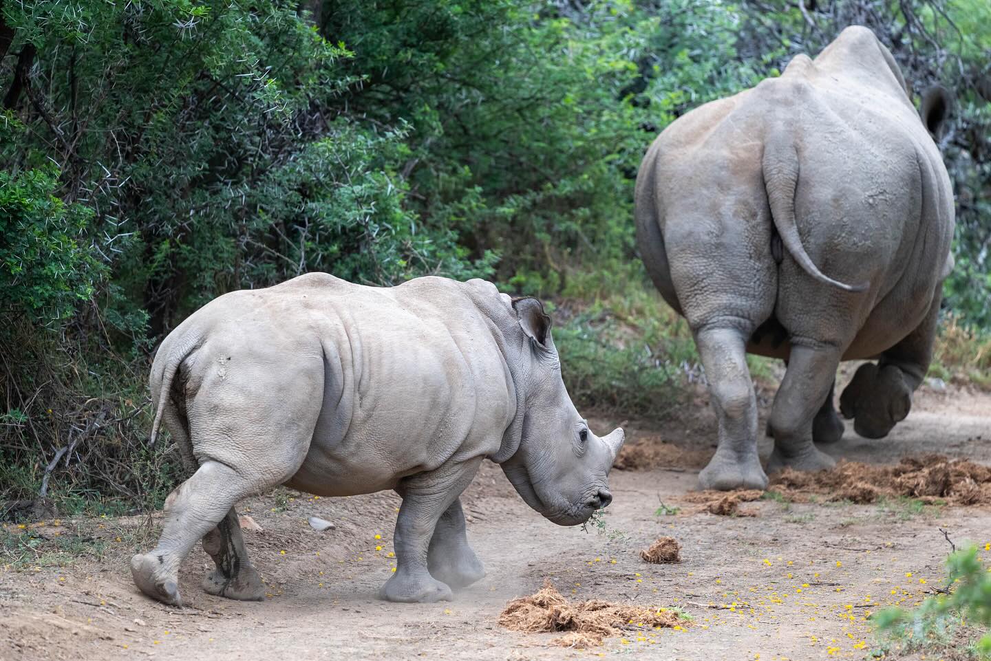 En avant pour 2026 !