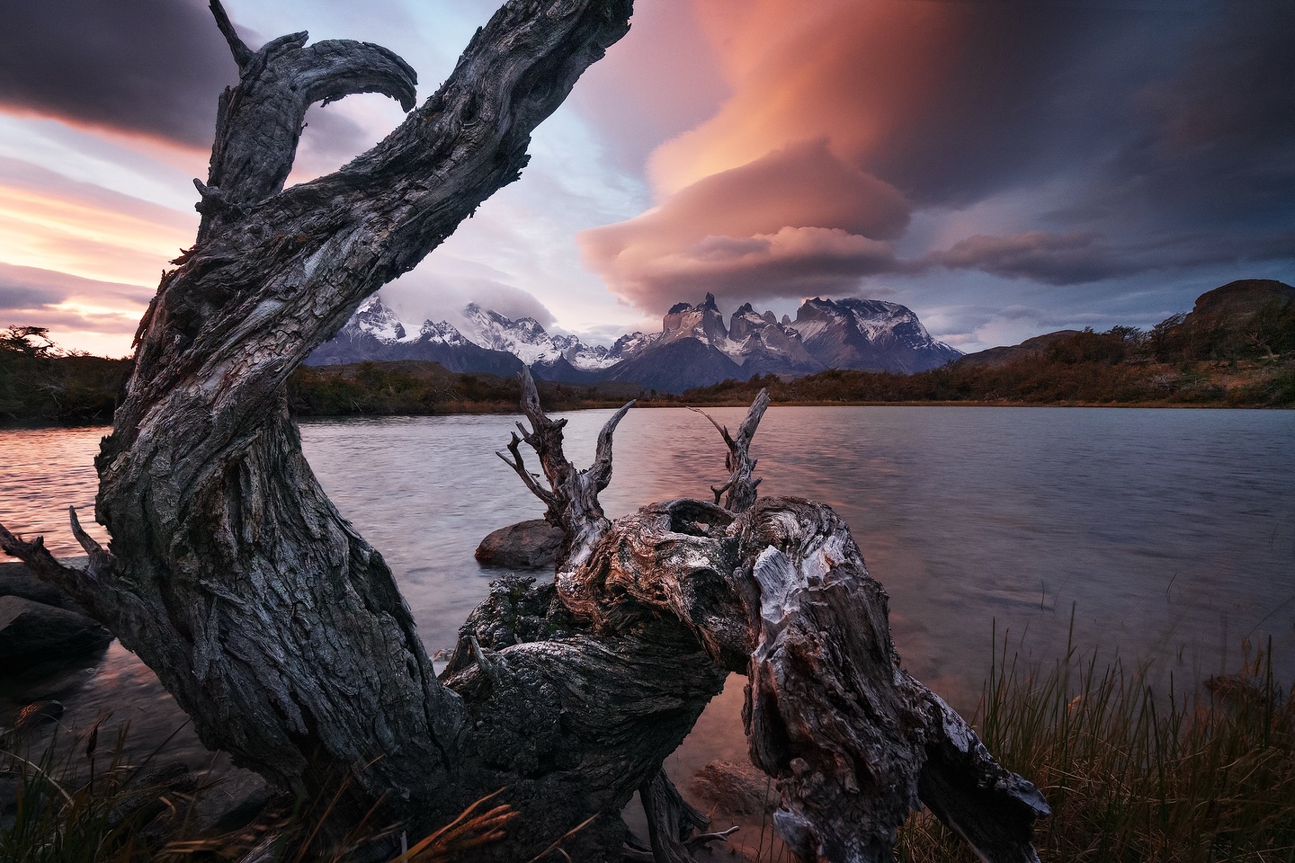 *
Patagonia – Shapes in the Wind
A weathered, lifeless tree stands against the vast Patagonian sky, its twisted form shaped by years of wind and solitude. Above it, layered clouds drift by, adding movement and depth to an already raw and timeless scene. Moments like this show how even decay can become part of a powerful landscape composition.
EXIF: 16mm • f/8 • 0.3 sec • ISO 500 • Sony Alpha 7R II • 16–35mm f/4 ZA • tripod used
#patagonia #landscapephotography #bevisualinspired #modernoutdoors #travelphotography