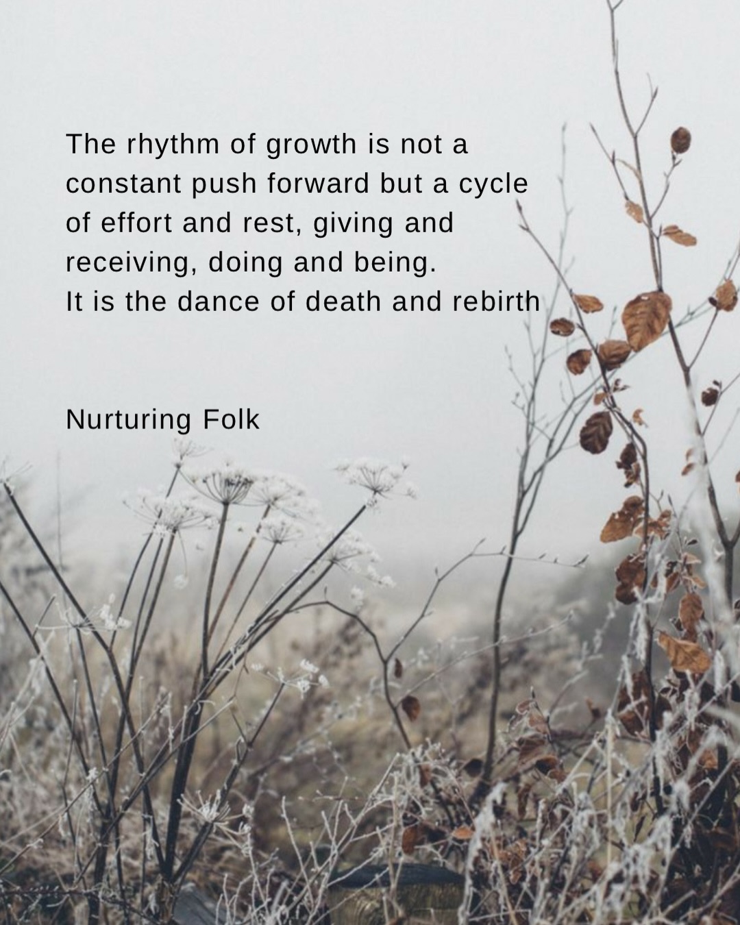 IMAGINE with me: You step outside on a quiet winter morning. The air is sharp, the earth is still, and a soft frost clings to the edges of the world. Beneath the surface everything is resting, nourishing, waiting...
And yet, here ‘we’ are, urged to RUSH.
The world presses us with promises of a “new year, new you,” Emails and ad’s whispering loudly that now is the time to push harder, to do more, to change and grow.
And so I wonder, What might it look like to trust the natural rhythm of our growth, especially now as we winter.
At the turn of the year, it’s easy to be swept up in the noise-the resolutions, the promises of a
“more shiny new you,” the push to become something other than what you already are.
But if we look, nature teaches us a different rhythm.
This is not a season for rushing forward. It’s a season for stillness, for rooting deeper into yourself, for trusting the unfolding of life beneath the surface.
Winter is the soil’s time to breathe and also OUR time to breathe.
In nature, there is no frantic striving in this season.
Instead, there is rest, composting, and preparation. The roots strengthen in unseen depths. Growth is happening, even when it looks like stillness.
The teaching here is: not every moment is meant for action. The rhythm of growth is not a constant push but a cycle / dance of effort and rest, giving and receiving, doing and being.
Sometimes the most profound growth comes in the pauses, in the spaces where we simply allow ourselves to just be.
What might shift if you let go of the pressure to do or achieve? If, instead of striving, you allowed yourself to soften into this rhythm? To let your body and mind breathe?
The start of the year doesn’t have to be a frenzy of doing. It could be a reset, a chance to release the noise, the expectations, the endless todo’s. To come back to yourself and trust that you are already unfolding, organically, perfectly even in stillness.
Be gentle with yourself. Maybe this season doesn’t have to be one of transformation, maybe in the stillness you could honour the wisdom in waiting, and find beauty in the pause.
love
Ali x
#slowliving #wordstoliveby #seasonalliving
Nature / healing