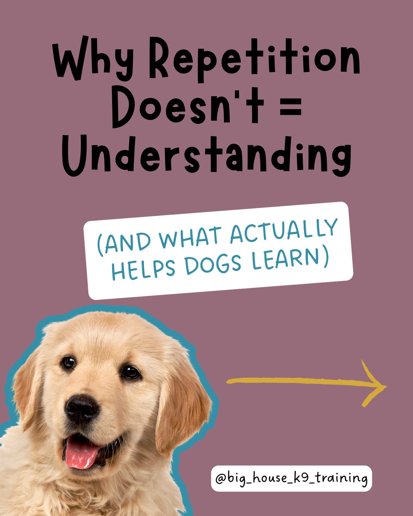 Why repetition alone doesnāt equal understanding šš¾
Youāve probably heard this beforeā¦
āJust repeat it enough times and theyāll eventually get it.ā
Sit⦠sit⦠sit⦠SIIIT.
But for dogs, repetition without clarity doesnāt build understanding, it builds confusion and frustration.
When a dog repeats a behavior incorrectly, they arenāt being stubborn.
Theyāre learning exactly whatās being reinforced⦠even if that reinforcement is guessing, hesitation, or pressure.
š Thatās what we call poisoning the cue.
When a cue is repeated over and over, it stops predicting success and starts predicting:
⢠tuning you out
⢠guessing randomly
⢠waiting for the 3rd or 4th cue
⢠pressure instead of confidence
Thatās not understanding⦠thatās coping.
Real understanding comes from clarity:
ā clear communication
ā proper timing of rewards
ā small, achievable steps
ā feedback dogs can actually understand
Practice doesnāt make perfect.
Practice makes permanent.
Instead of asking,
āHow many times did I repeat it?ā
Ask,
āDid I set my dog up to succeed?ā
And hereās the part many people miss š
If a dog only āknowsā a behavior in one place, they donāt truly understand it yet.
Understanding comes from different environments, gradual distractions, real-life practice, and consistent reinforcement. Hello Paws Around Town!
At Big House K9 Training, we donāt drill behaviors.
We teach dogs how to think, learn, trust, and succeed using positive reinforcement and science-based methods.
Because confidence beats compliance every single time.
Confidence + trust = harmony.
ā¤ļø Like this post if youāve ever caught yourself poisoning a cue (even trainers do).
š Save it for your next training session.
š¤ Share it with someone stuck saying āsit⦠sit⦠SIT.ā
š Casa Grande / Coolidge, AZ
Positive reinforcement dog training
@big_house_k9_training