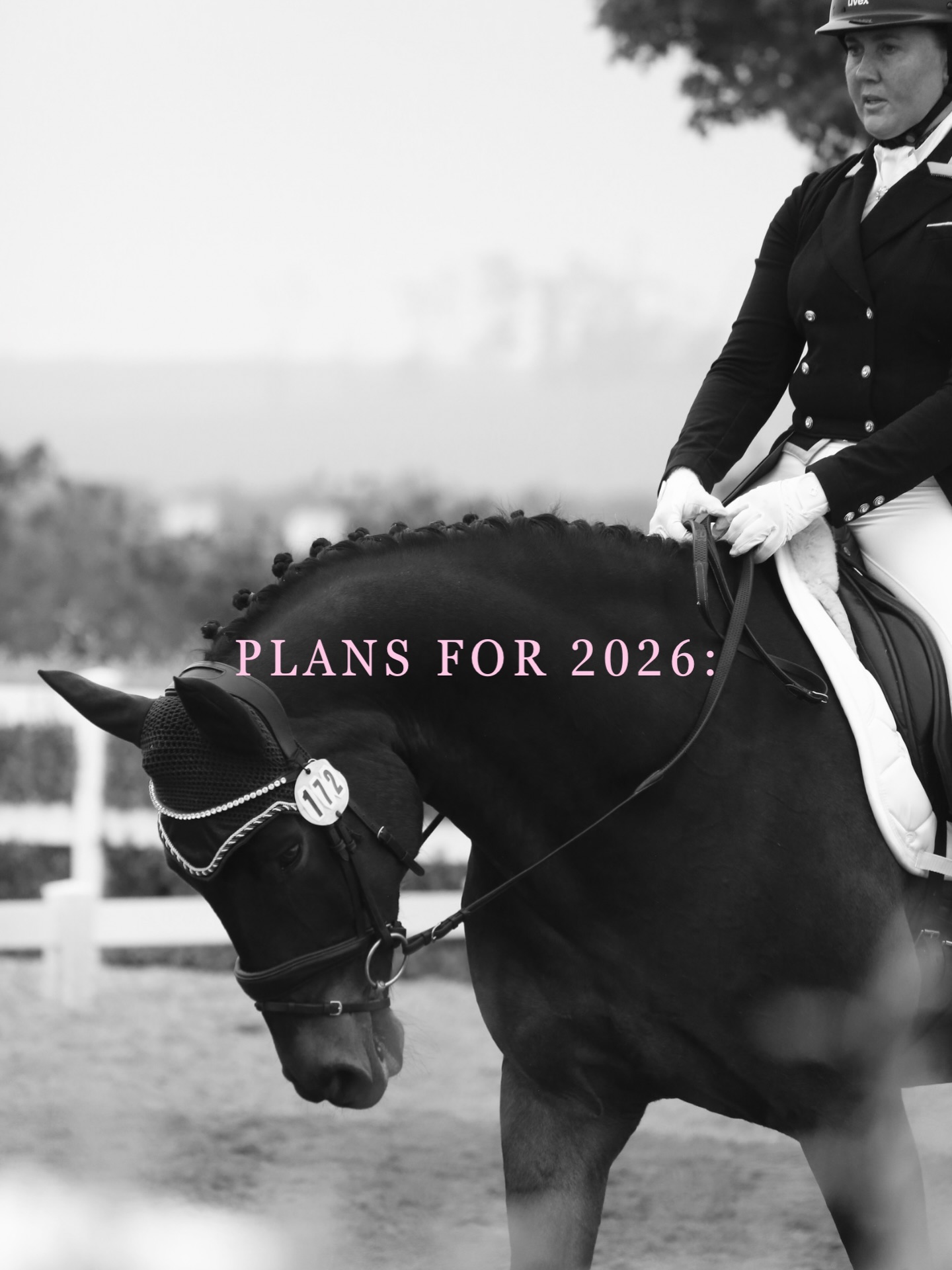 New Year. Same Obsession.
Wishing you all a beautiful 2026!
#equestrianlife #luxuryride #dressagerider #dressagesa #horseobsessed