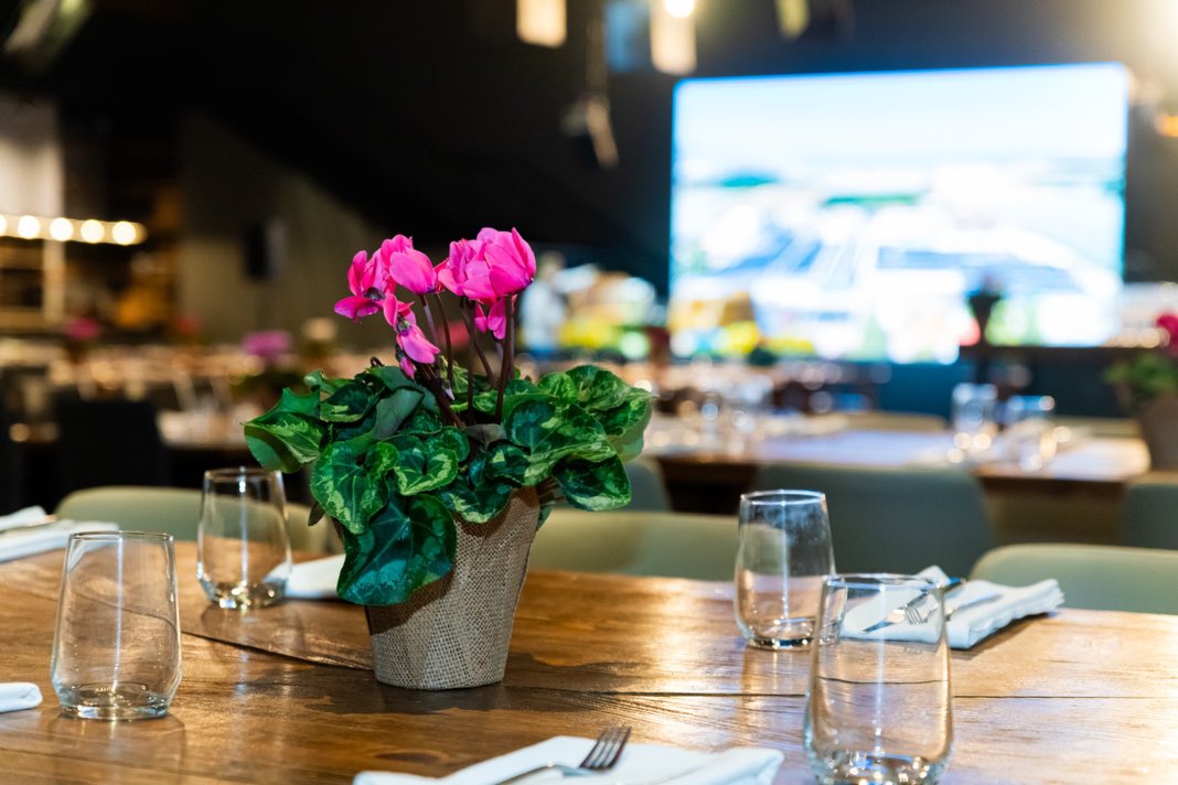 שמחנו לפתוח את השנה ולקחת חלק באירוע של חברת @doralenergy באולם @maarava.shmueli עם עיצוב השולחנות וחלוקת עציצי תבלין למשתתפי הכנס, תודה לדוראל על האמון ועל אירוע מושקע עם אווירה מעולה. 🪴🌻🌷
מחפשים עיצוב שולחנות שהוא גם יפה וגם בעל ערך מוסף לאירוע הבא שלכם?
שלחו הודעה>>>
#עציצים_מעוצבים #געש #מערבה #עיצובשולחנות #רקפות