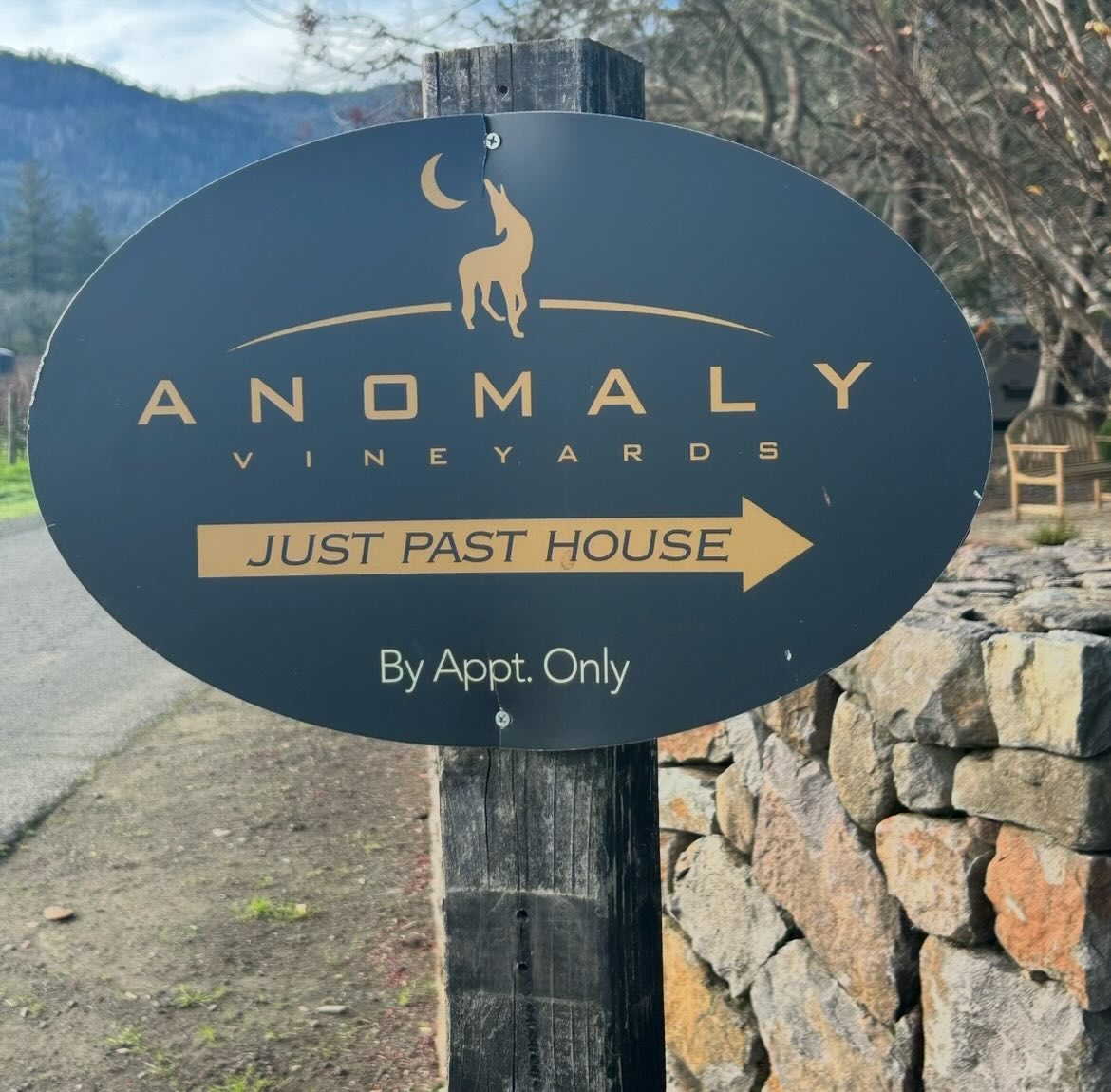 Anomoly Vineyards is known for producing high-quality, limited production Cabernet Sauvignon from its small, family-owned estate in St. Helena, Napa Valley.🍇🍇🍷#anomolyvineyards