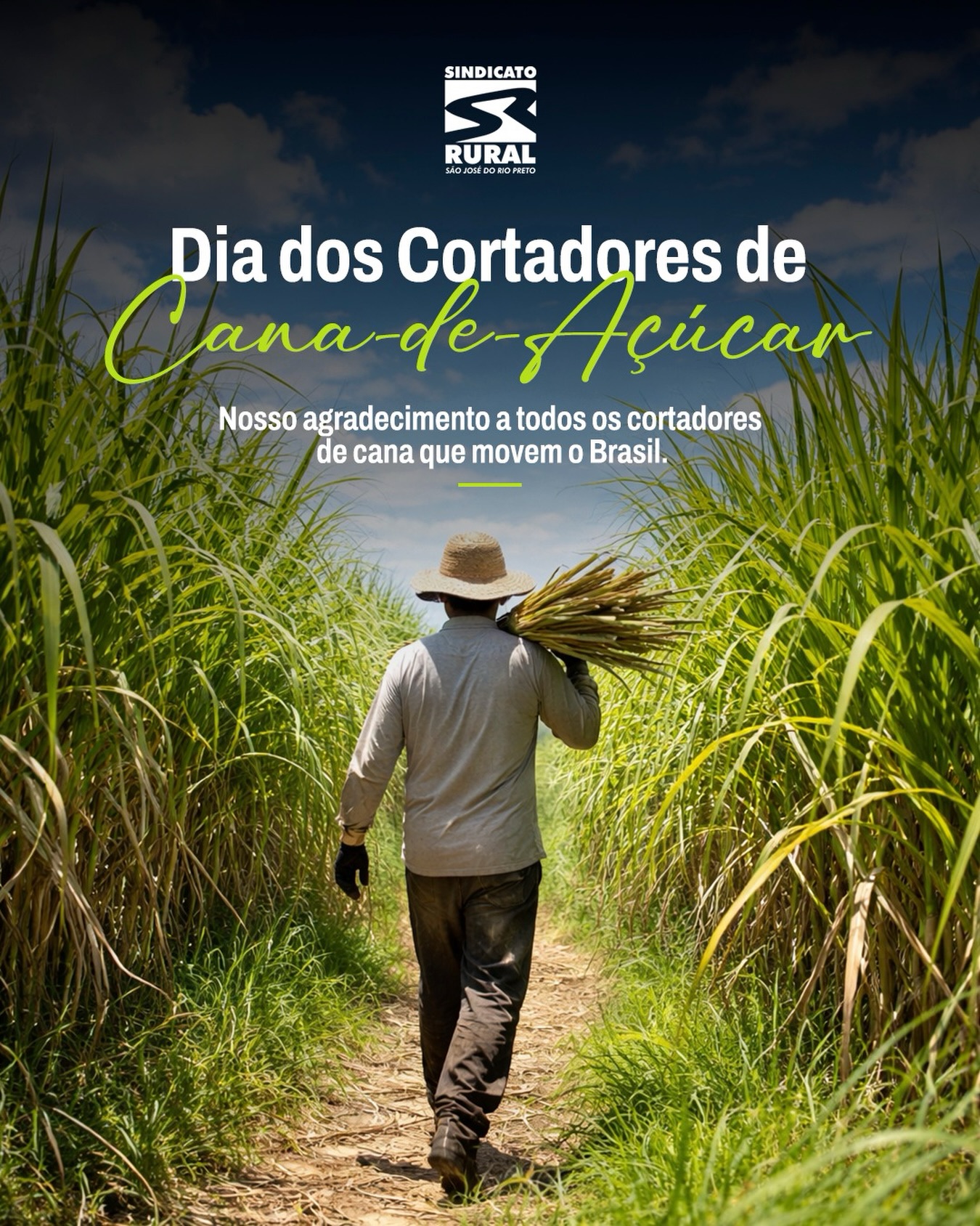 São homens e mulheres que enfrentam longas jornadas, o sol forte e grandes desafios, contribuindo diretamente para a produção de alimentos, energia e desenvolvimento econômico.
Nosso respeito e gratidão a todos os cortadores de cana-de-açúcar, que com trabalho e dignidade ajudam a construir um país mais forte.
📞 Telefone: (17) 3232-5115⠀
💻 Site: www.sindicatoruralsjrp.com.br
#SindicatoRuralSJRioPreto #CanaDeAçúcar #TrabalhadorRural #AgroBrasil #SãoJoséDoRioPreto