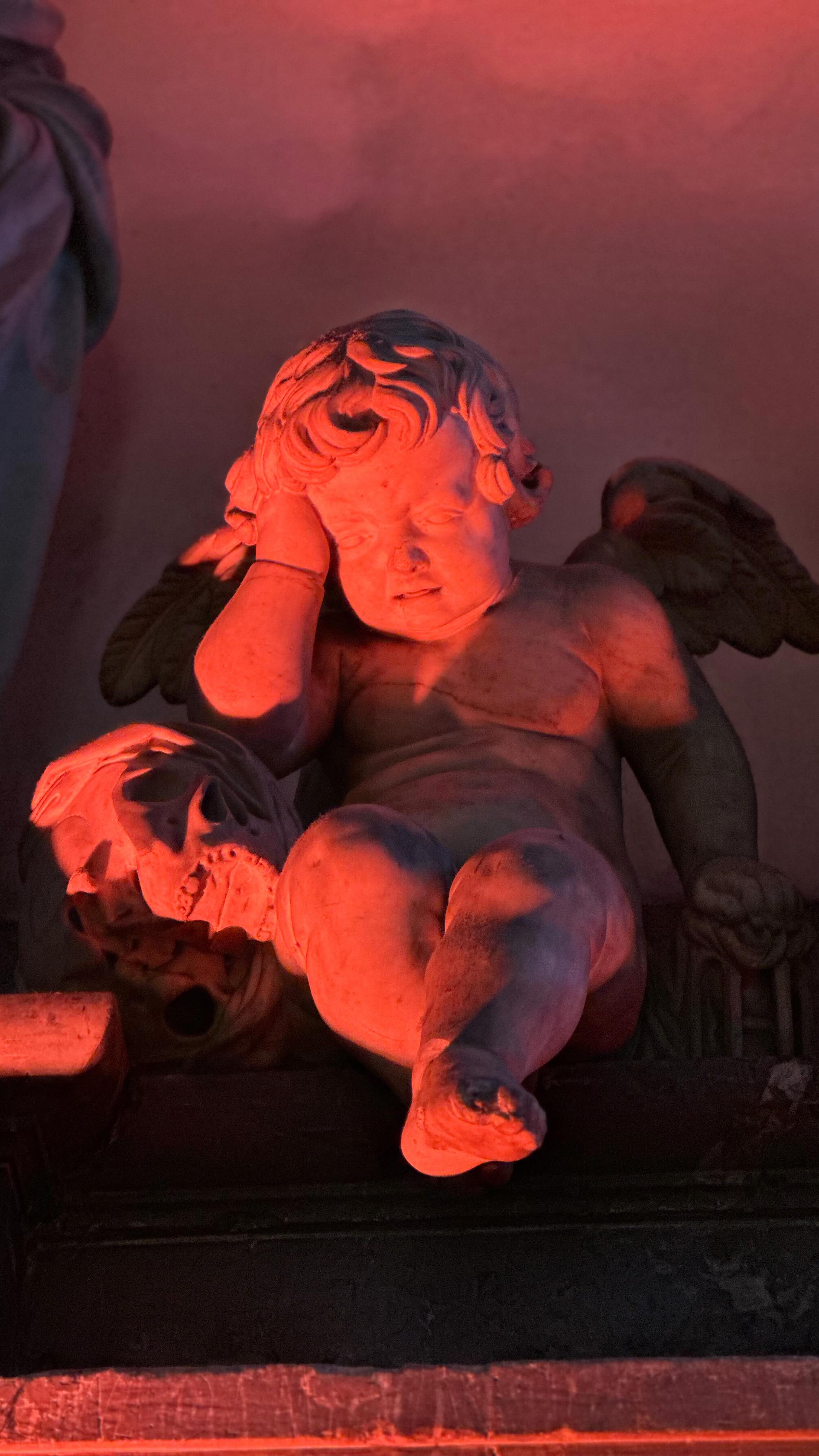 Meilleurs vœux pour 2026. Alles Gute für 2026.
#picardie #somme #lasommeblog #lasommemonamour