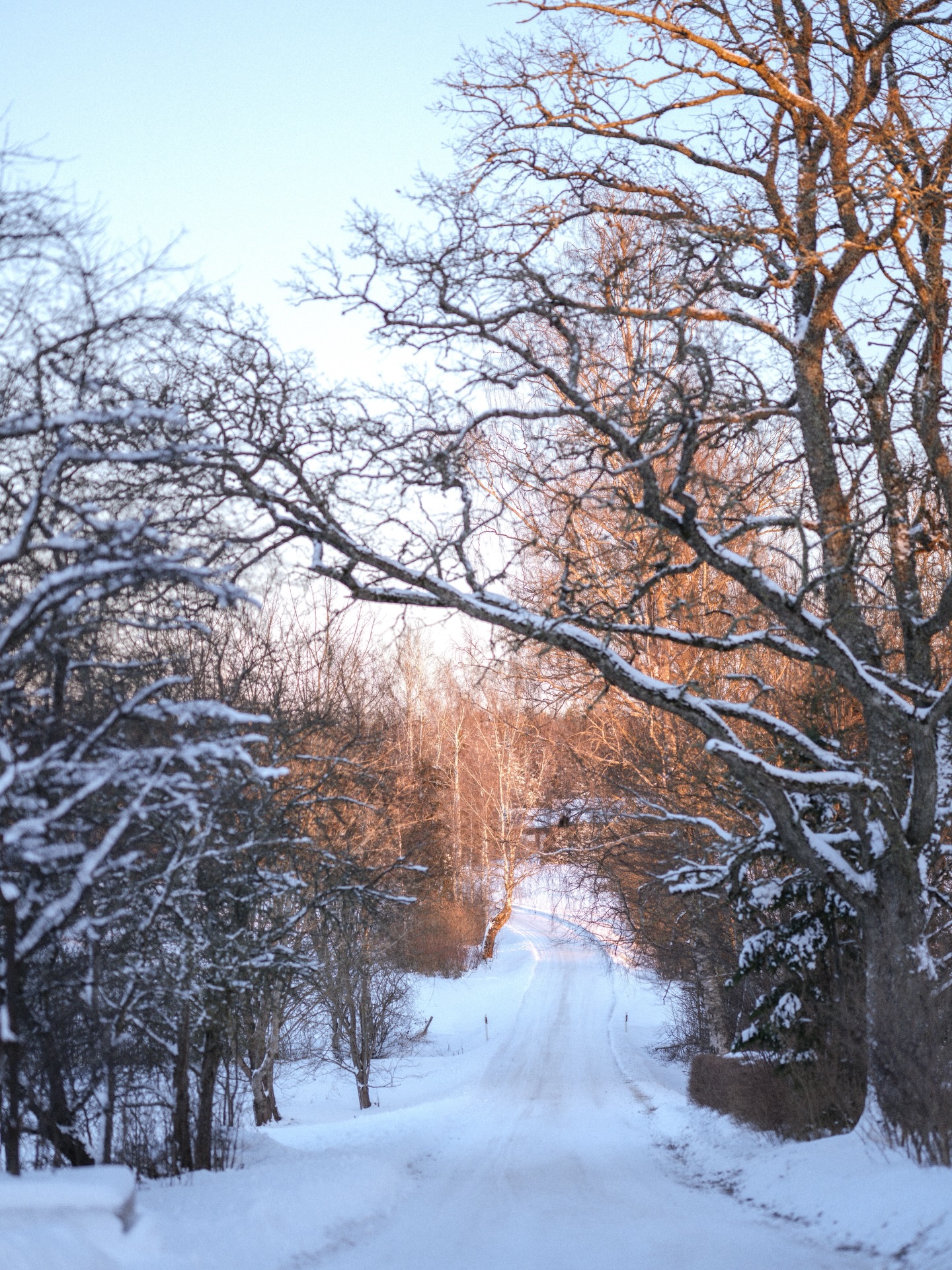 Dream winter weather arrived to Estonia on the last day of 2025!
We spent it here - amongst the snow covered trees and the quietude of the bog, on the Männikjärve trail in eastern Estonia 🤍
There were magnificent views all around and I think this trail became my all time favourite in Estonia. I highly recommend it in wintertime! ❄️
#estoniannature #visitestonia #winterishere