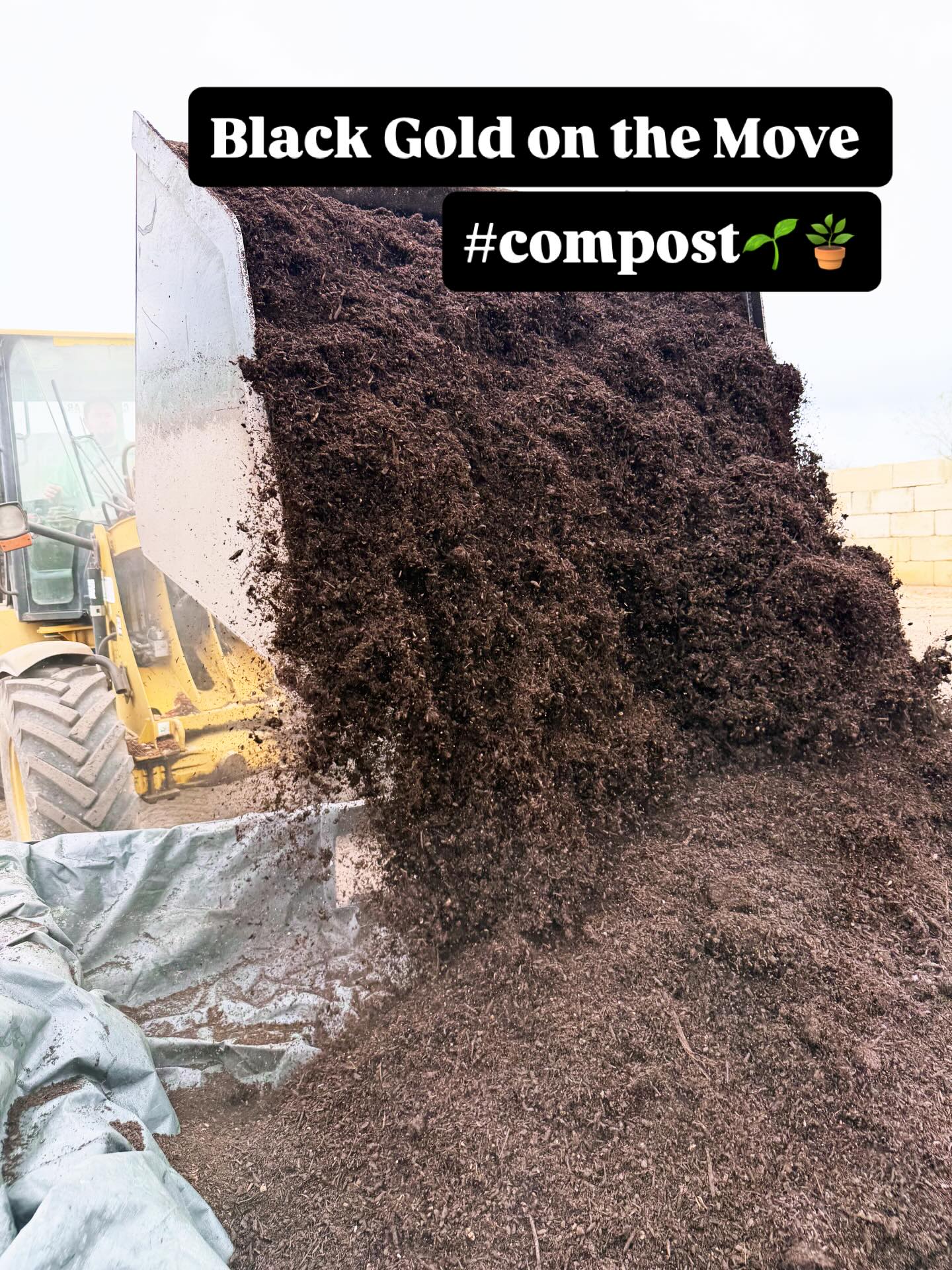 Healthy soil is the foundation of a healthy planet. 🌎 Most people see “dirt,” but we see a living ecosystem. Our organic compost delivery isn’t just a service, it’s a commitment to regenerative growth. By adding compost, you’re increasing water retention (crucial for our Texas summers!), feeding beneficial microbes, and sequestering carbon. It’s the ultimate gift for your garden!
DM us ‘COMPOST’ to get a quote for your delivery!
We also sell compost!
#TexasLandscapeCooperative #gardening #sanantonio #outdoorspaces #greenthumb #OrganicCompost #SoilHealth #SustainableTexas #BlackGold #RegenerativeLandscaping