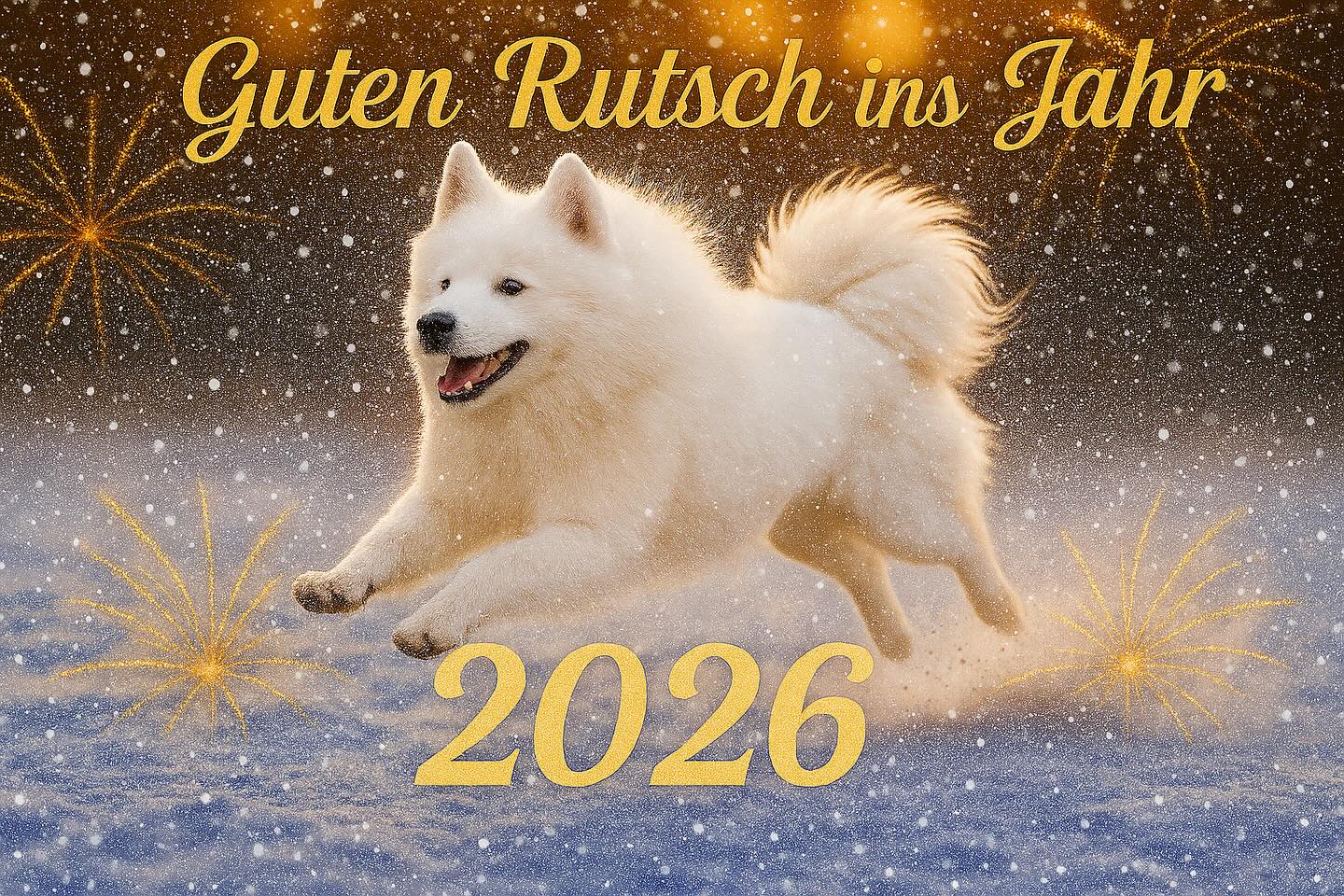 #samoyedlovers #sylvester #doglover #dogsofinstagram #endof2025