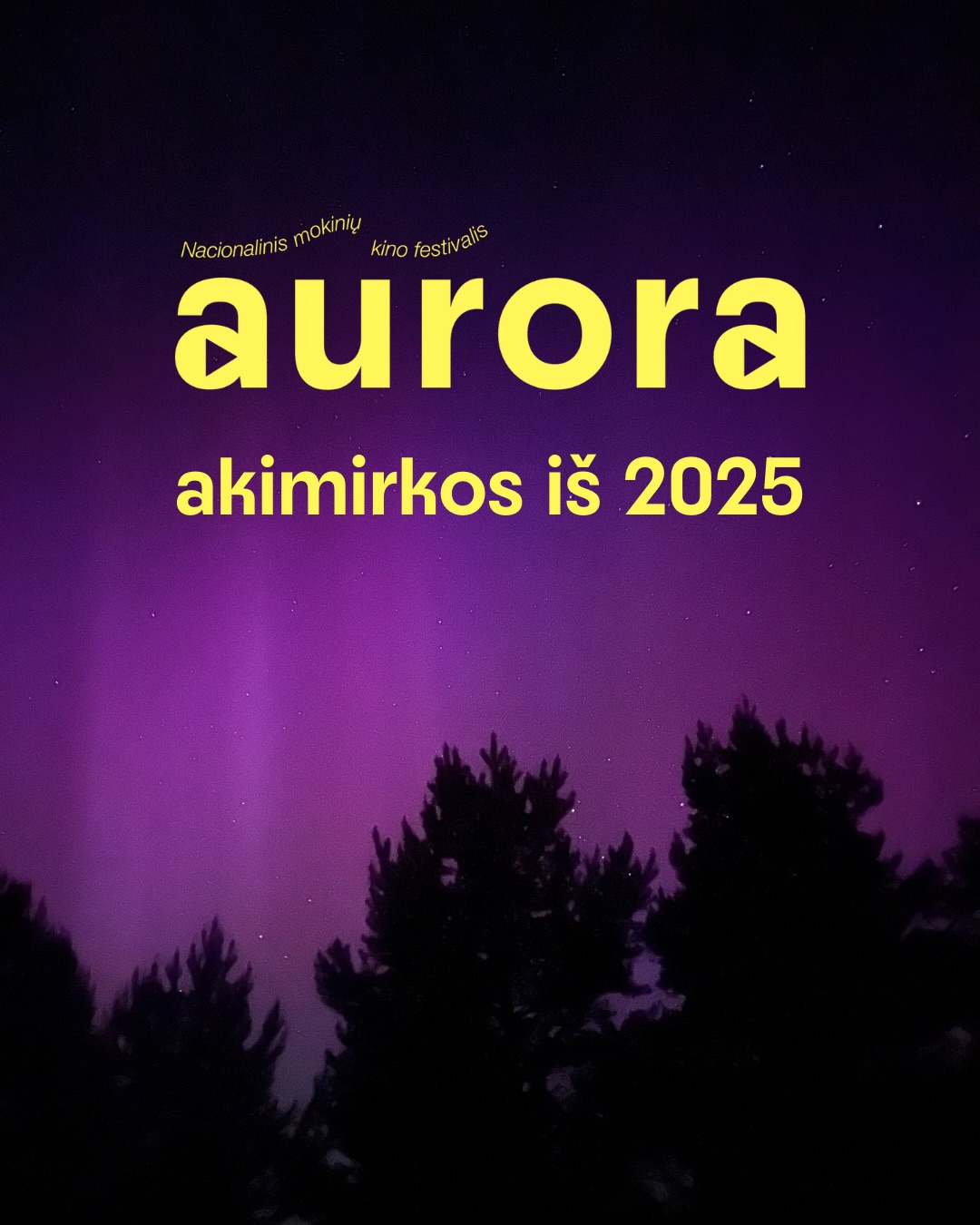 Kelios akimirkos iš kupinų įspūdžių 2025. Ačiū, kad tikėjote ir kūrėte stebuklą drauge ✨
#aurorafestivalis
