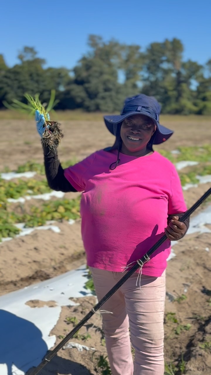 🌱 Happy New Year from Joseph Fields Farm!
As we welcome 2026, we’re grateful for every person who supported us this past year — from market shoppers to CSA members to families teaching their kids about fresh, local food.
A new year means new seeds, new possibilities, and the same commitment to nourishing our community with care.
Thank you for growing with us.
Here’s to a year of abundance, health, and good food. 💚🌾