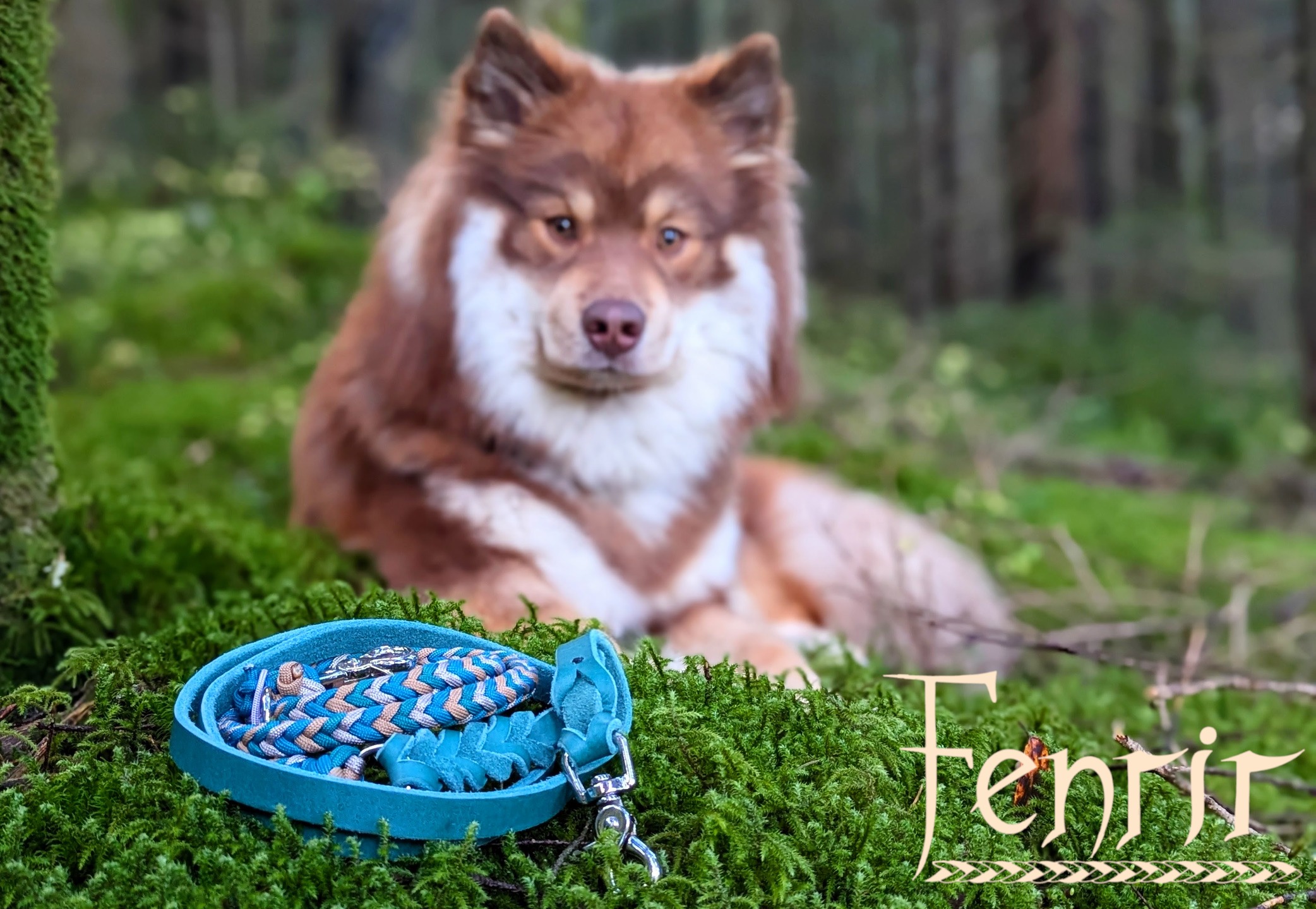 Neues Jahr, vertrautes Handwerk. Auch 2026 entstehen hier Stücke, die mit Liebe gemacht werden und perfekt zu dir und deinem Begleiter passen.🎉
#handgemacht #slowmade #draußenmithund #hundeliebe #naturverbunden #handmadefordogs #smallbusiness #handmadewithlove #paracord #fettleder #türkis #beige #newyear #2026