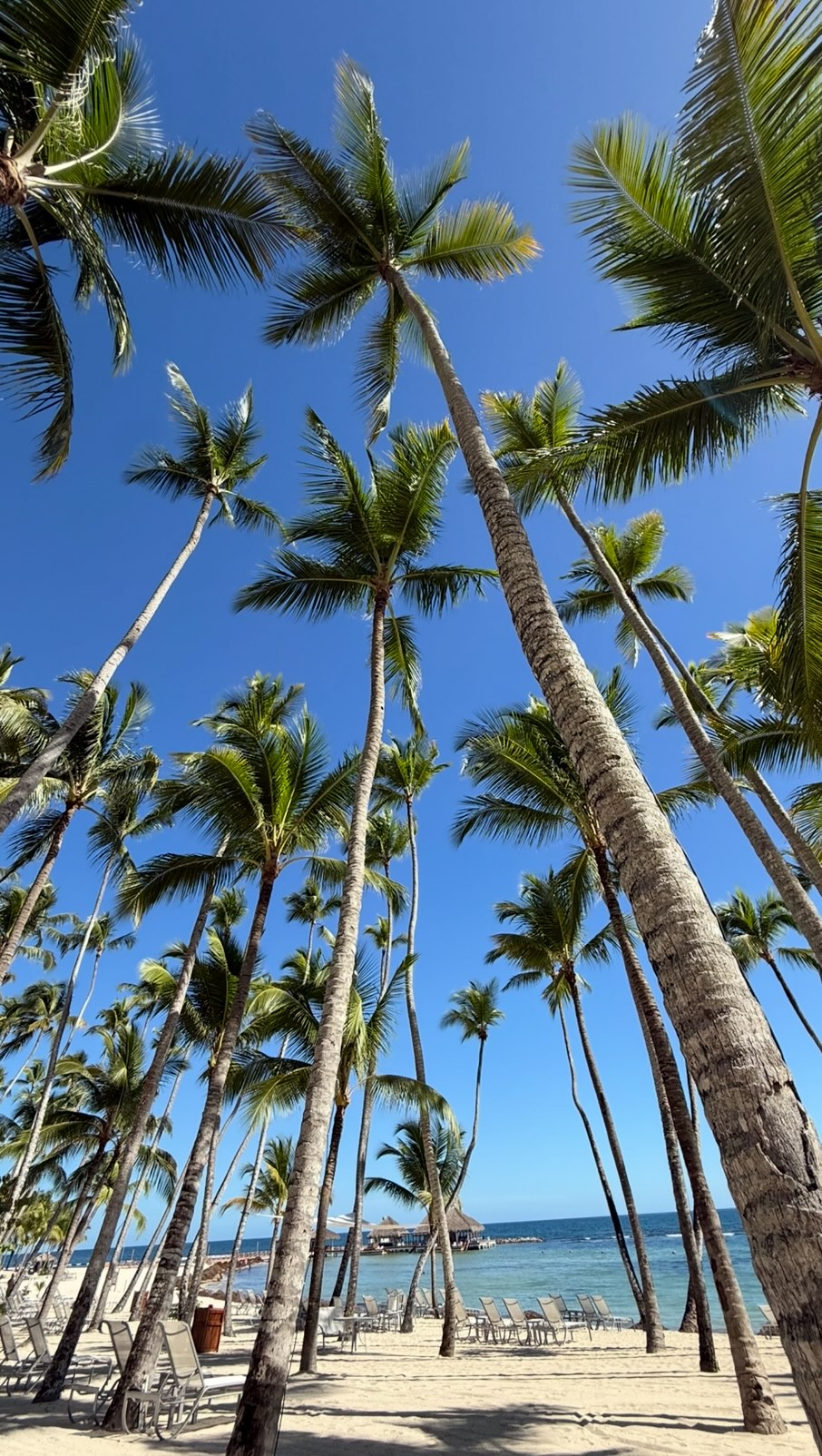 🌴 Luxury is freedom. The freedom to choose your lifestyle, your investments, and your legacy. At AIG, we believe the two are inseparable.
Feat. Interior Design from @feliperangelrd
#internationalrealestate #luxurylifestyle #interiordesign