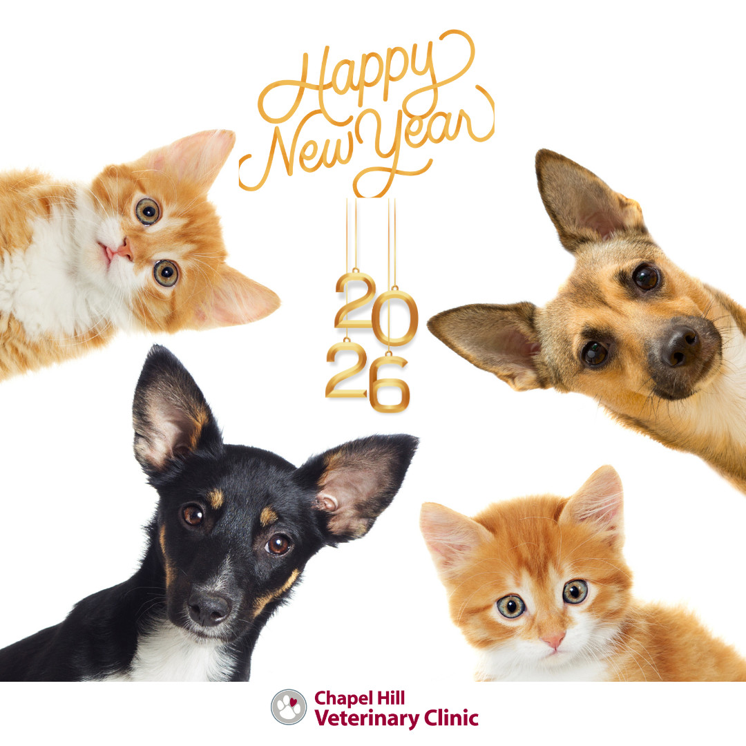 ✨🐾 Wishing you and your pets a healthy, joyful, and bright New Year. Thank you for trusting us with their care. ❤️