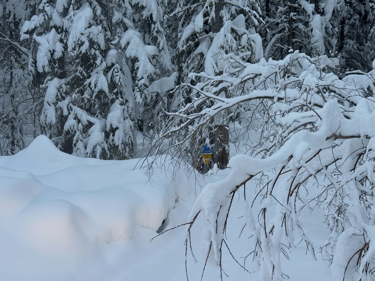 This has been a crazy year, to warm to make ice then a 30 degree drop in 7 days that kept falling to -49 at one point. 2.5 weeks of -35 to -45 and then the snow didnāt stop. Still havenāt got the trail all the way open, next week Iāll have the first half done.
#wildplaceadventures #soyouwanttobeatrapper #yukontrapping #breakingtrail #nogymneeded