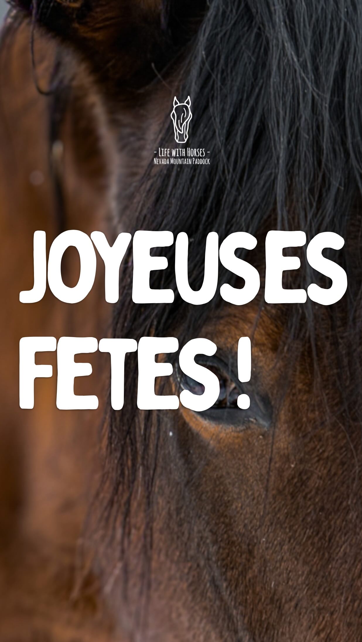 Et à l’année prochaine! 😎