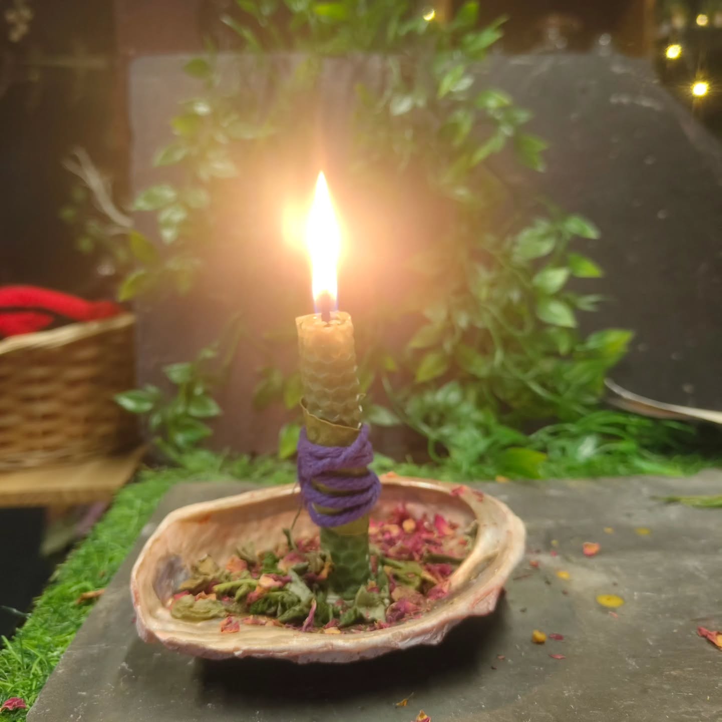 Good afternoon Wytches!
Happy New year!
It's been a hot minute since we last posted, today is the last day of our Christmas break, and tomorrow we reopen the shop!
We are slightly modifying our hours for the next couple of days as I'm in full swing and in restock mode!
We are open 11-4 Friday, Saturday, Sunday and Monday.. Then back to normal.
Plus before Christmas I took several pieces of furniture into the back of the shop for a spruce up, part of a change that's going on in the Grove! More to come!
I'm off to the pub for a new year's drink! See you all soon
Blessings of the Land, Sea and the Sky ❤️❤️❤️❤️
Open 1-4 tomorrow with 15% off sale!