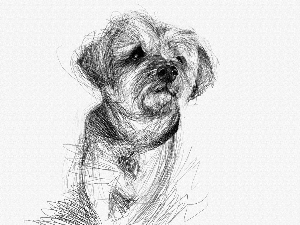 You were found in the desert where you’d been abandoned and left to die. You were so emaciated the folks at @maedayrescue named you “Slim Jim.” But they nursed you back to health and by the time we met you at the adoption event at that bar in Historic Filipino Town we knew the second we saw you, you’d be coming home with us. We called you “Herbert” after the man who wrote about battling to survive on a desert planet. But you didn’t just survive, you thrived. And you brought nothing but love, joy, and laughter to us and everyone you met. Your unofficial title was “Cutest Dog in Solvang” but to us you’ll forever be our sweet little Herbie. Herbie the love bug who scampered into our lives and into our hearts, leaving almost as quickly as you came. We didn’t have the most time with you but we had the best time. I’m sorry you won’t get to see Monty grow up a little more but I know you’ll always be a part of him. Thank you, Herbie. For everything. Your favorite spots: at the window in the living room, next to the grill during a pool party, and next to Monty’s high chair at meal time are gonna feel very empty for a very long time. But I’ll be forever grateful for the time we did have together. You’re the ultimate survivor, Herbie and you’ll live forever in our hearts.