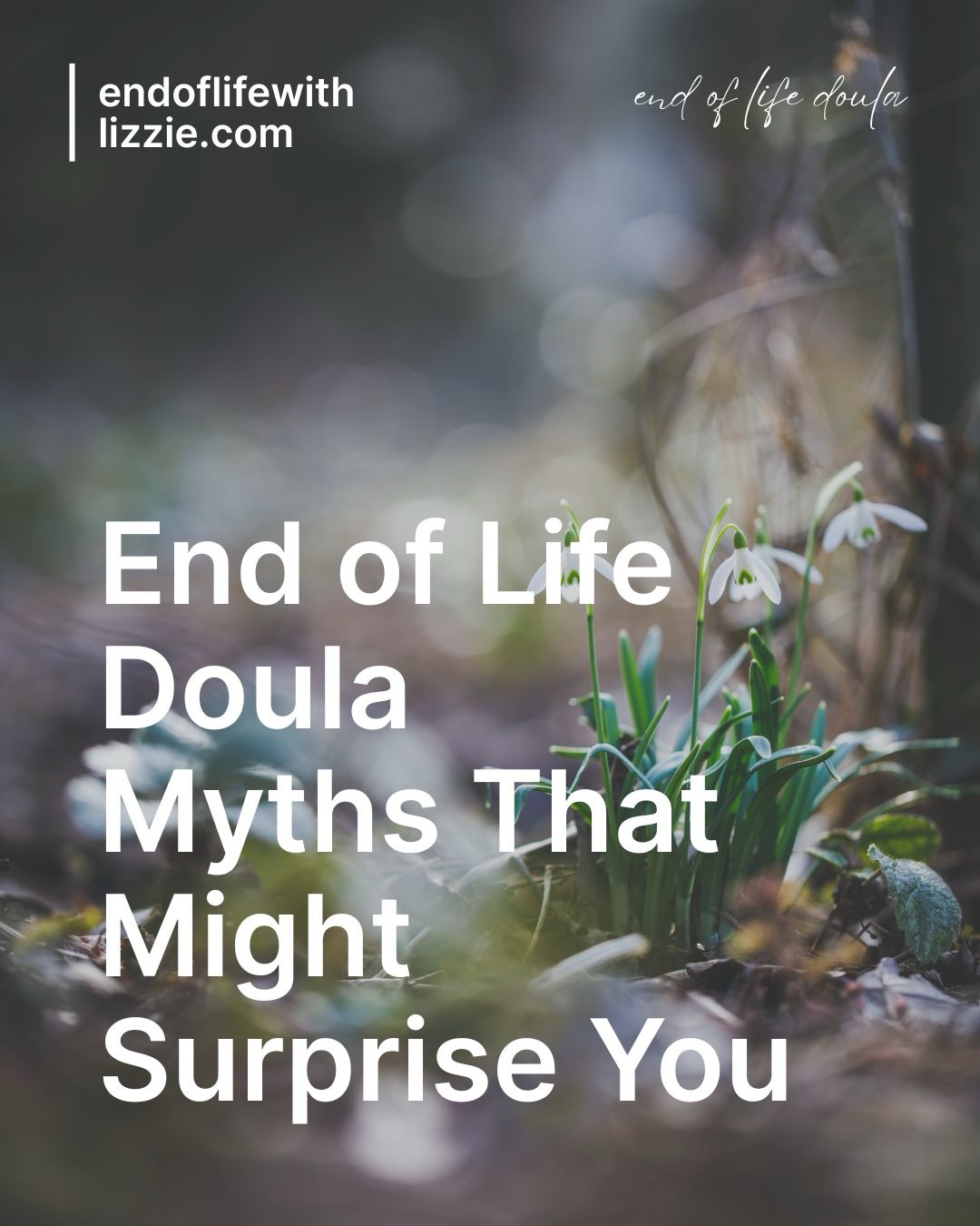 More myth busting…coming at ya!
There are actually many myths about end of life doulas and they’re often shaped by fear of death itself.
This work isn’t about darkness or despair though. It’s about presence, compassion, and restoring dignity when life feels fragile.
We don’t replace medical care,
We don’t rush endings,
We don’t take families’ places, and
We don’t hold the secrets of life and death.
We walk alongside you gently, human to human - sharing what we know, as we go.
There was a time when our communities held each other in times of death and grief. We know how to do it, we just need reminding.
#EndOfLifeWithLizzie
#sharingknowledge
#DyingMatters
#CompassionateCommunities
#LivingAndDyingWell