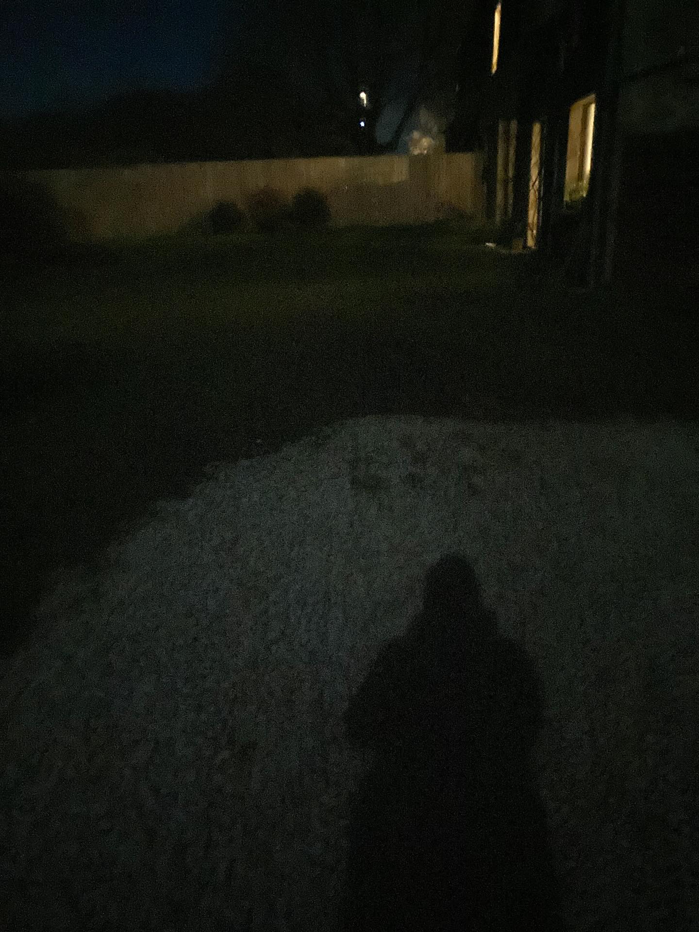 Just watched the most amazing ´wintering’ documentary in cinema ´Le chant des forêts’.
It reminded me how we all are part of nature, here just for a brief period of time on Earth.
Oh, and how much I love awe hunting, noticing the magic in nature everyday -and how doing this has changed my life…. This documentary is filled with these moments, with music composed by Warren Ellis- Could not get any better! A must see !
As I got home from the cinema, the full moon is shining bright , I’m soaking up it’s beautiful cool, calm, wintery light that throws the most amazing shadows…well, awe hunting…
It’s just the start of winter, go easy on yourself everyone ! Maybe instead of setting full blown New Year’s resolutions now, think about proper wintering. Or as my fav @naomiyoga puts it : New year, same you!
My weekly group yoga classes re-start this Monday, we are still in wintering season ;) if you want to join in, let le know-everybody is welcome. Come to retreat , reflect, pause amidst the frantic life.
Forever #awehunting with @suzyreading and @mcgowankim and many others 💗
#lechantdesforêts